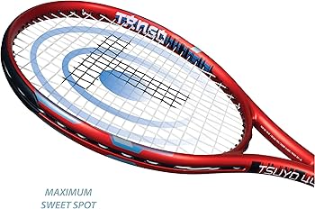 Ruco  Genuine HOWO Fuel Filter WG9412551201 For Sinotruk 10 Wheel