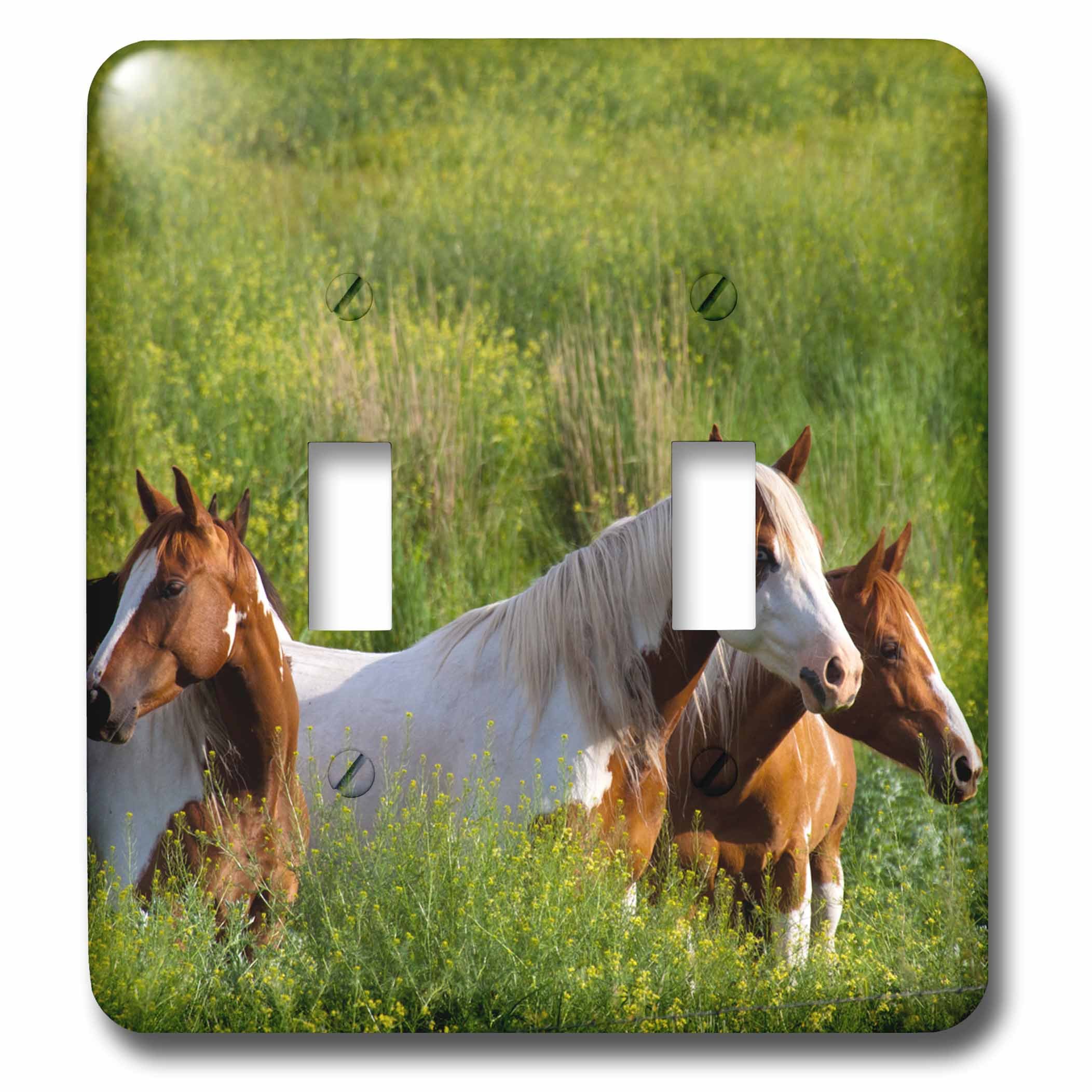 Chevaux sur la colline interrupteur double multicolore Lsp_207261_2