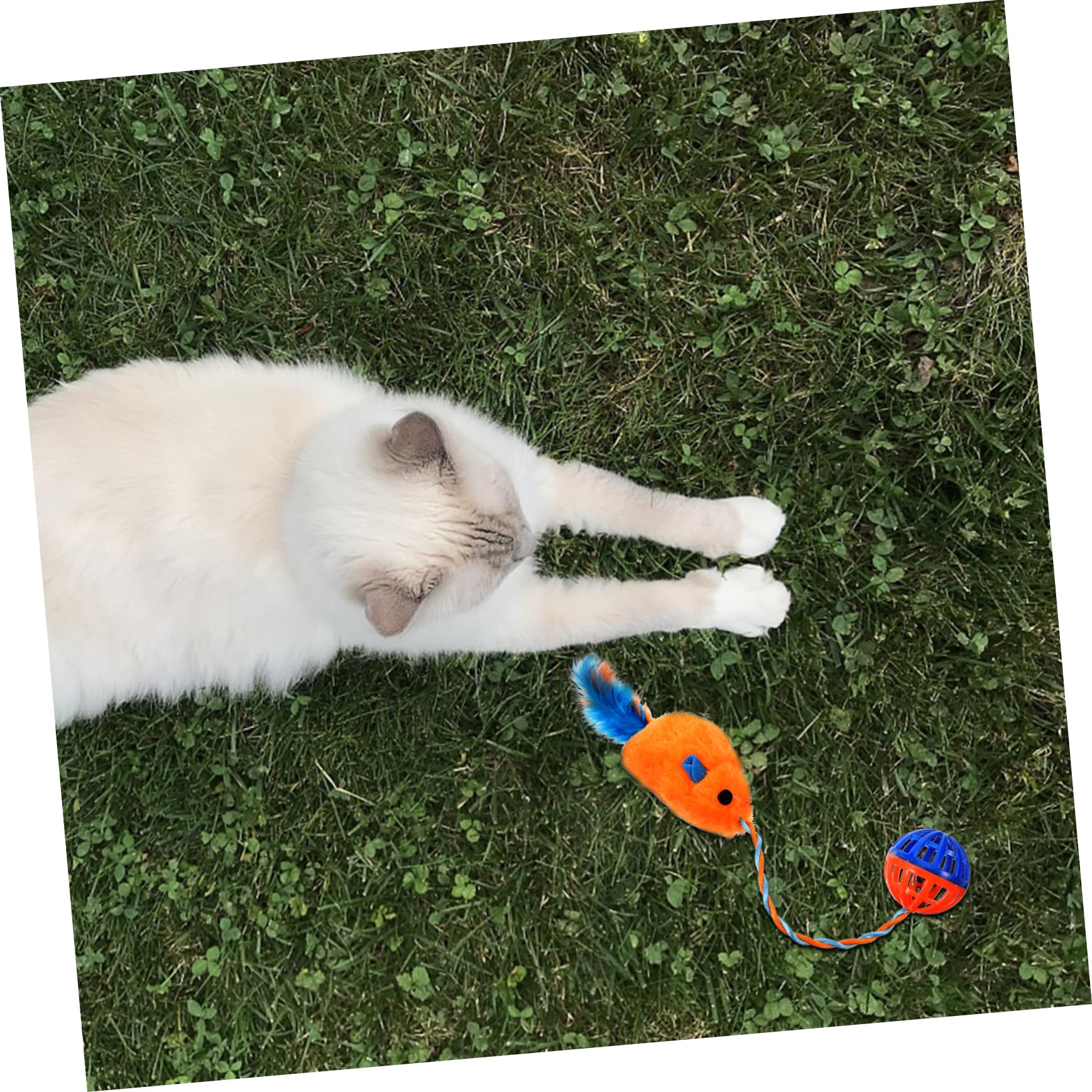 BESPORTBLE Jouet pour Chat Interactif à Clochette en Plastique, Peluche Souris Orange, Petite Taille, Jeu D’intérieur pour Chatons et Chats Adultes