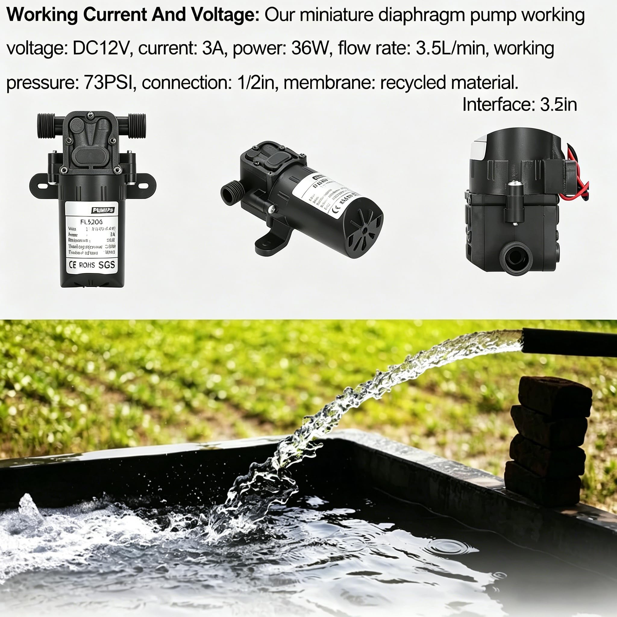 Micro Pompa a Membrana DC 12V 36W Pompa Acqua Autoadescante ad Alte Prestazioni con Interruttore Sigillato Rivestimento Resistente alla Corrosione per Verniciatura Industriale