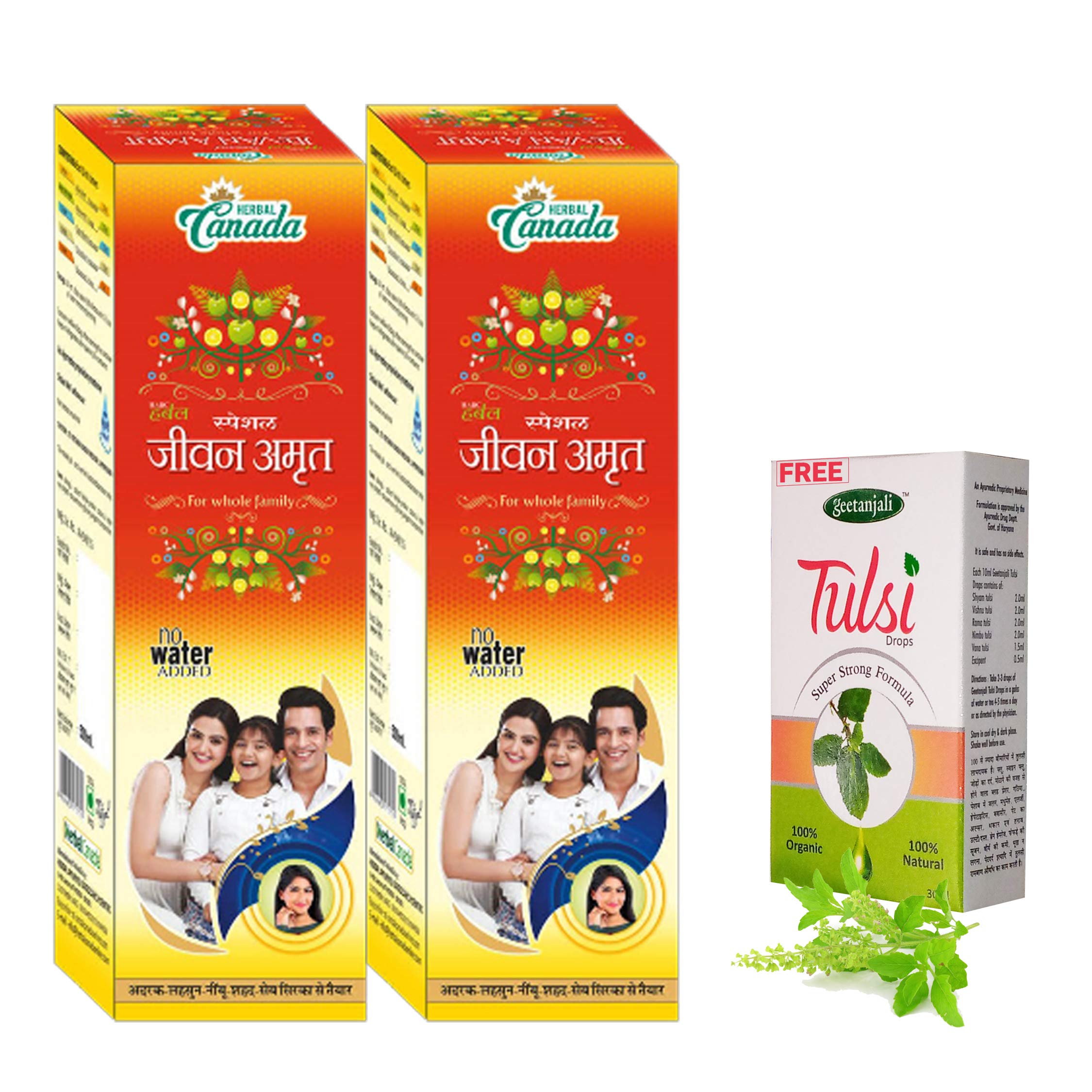 HERBAL CANADA JEEVAN AMRIT 500ML (Pack Of 2) - WITH TULSI DROP 30ML. FREE (B08L5BGHBM) Amazon Price History, Amazon Price Tracker