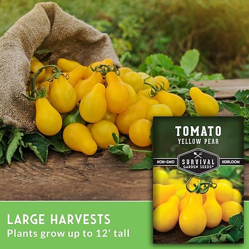 Miniatura 3 de Paquete de 2 semillas de tomate de pera amarilla para plantar, paquete con instrucciones para cultivar tomates dorados en tu huerto casero, variedad