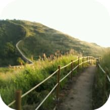 Unity's Adventures in Wonderland