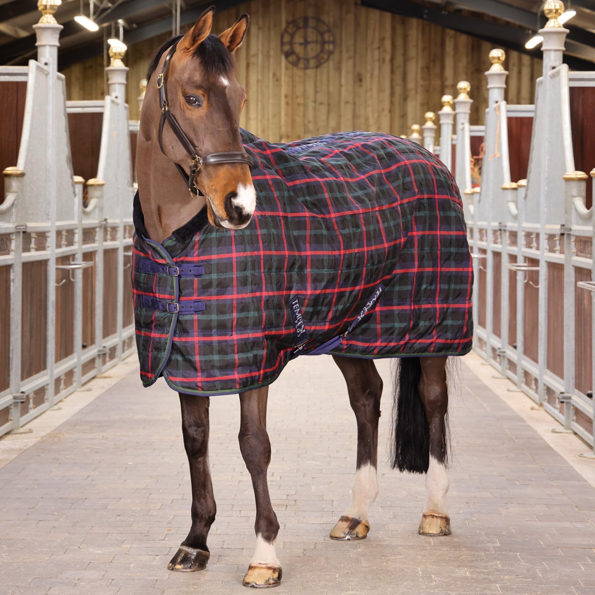 Tempest Plus 100 Stable Rug (66