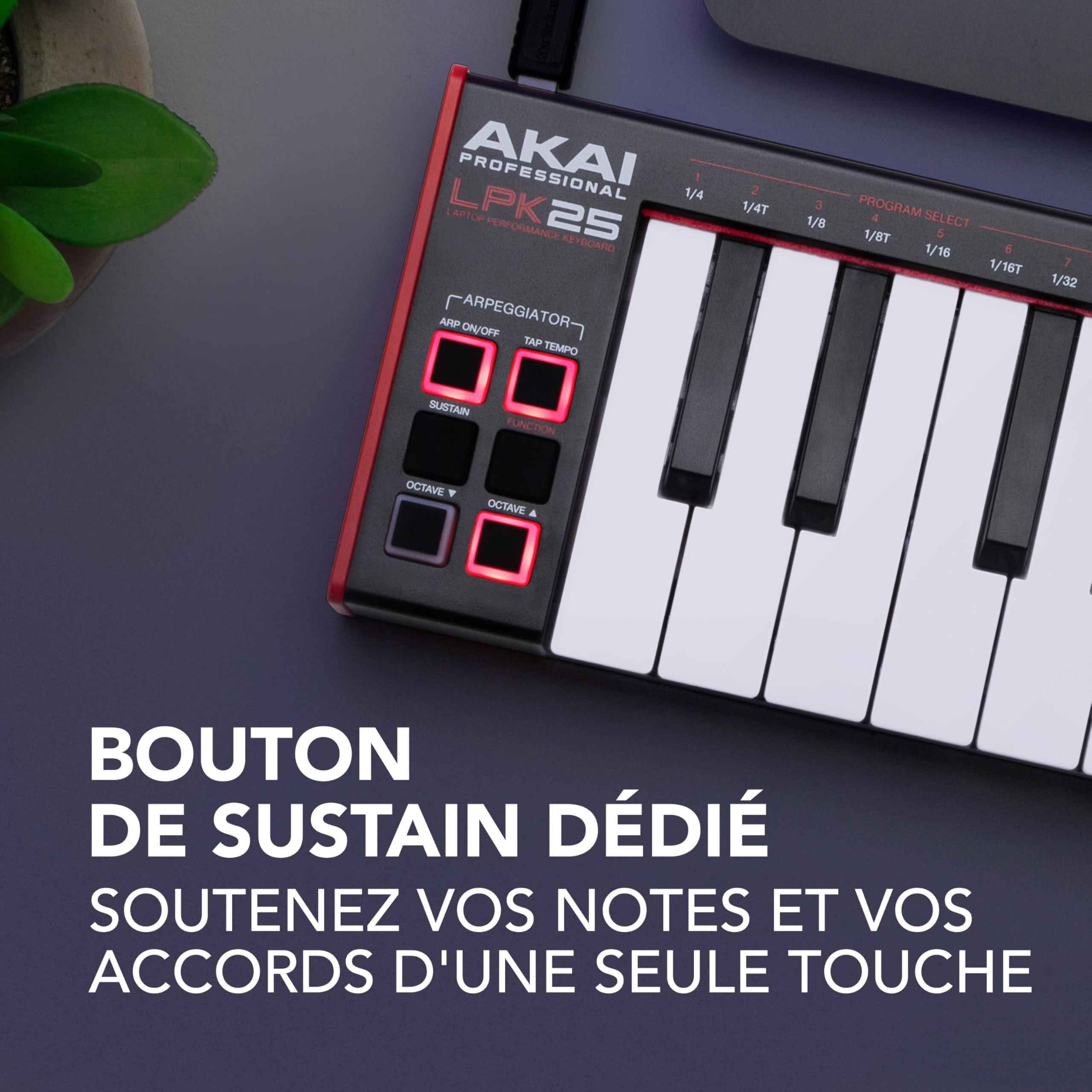 Akai Professional LPK25 - Clavier MIDI USB avec 25 Touches Synthé Réactives pour Mac et PC, Arpégiateur et Logiciel de Production Musicale