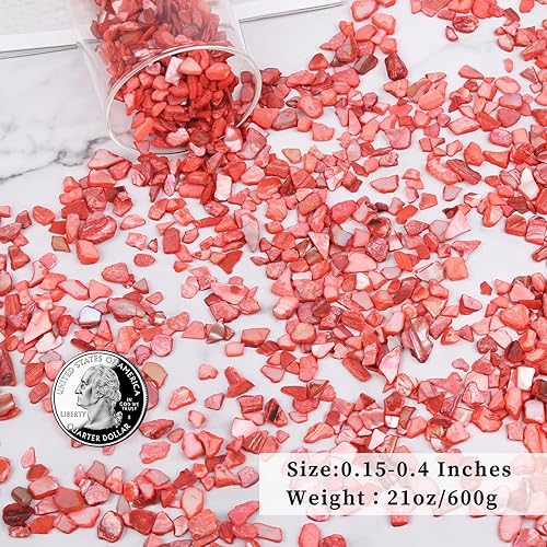 Miniatura 10 de Conchas trituradas para manualidades, pequeñas conchas naturales trituradas, conchas marinas para decorar bodas, rellenos de jarrones, playa, bodas,