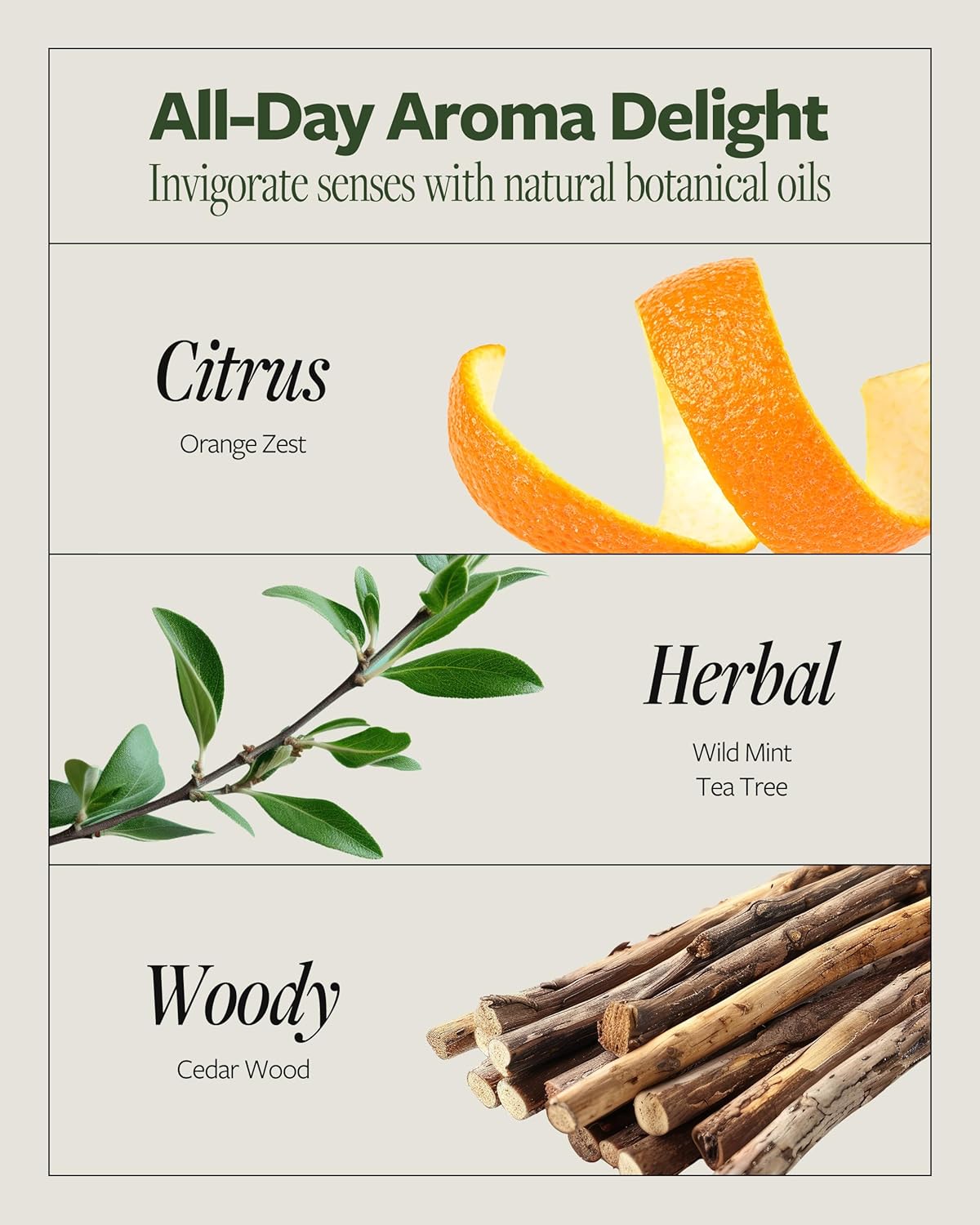 LAPCOS DR.14 REVITALIZING SCALP CARE SHAMPOO