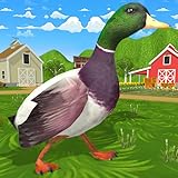 Flipray Gamestudio