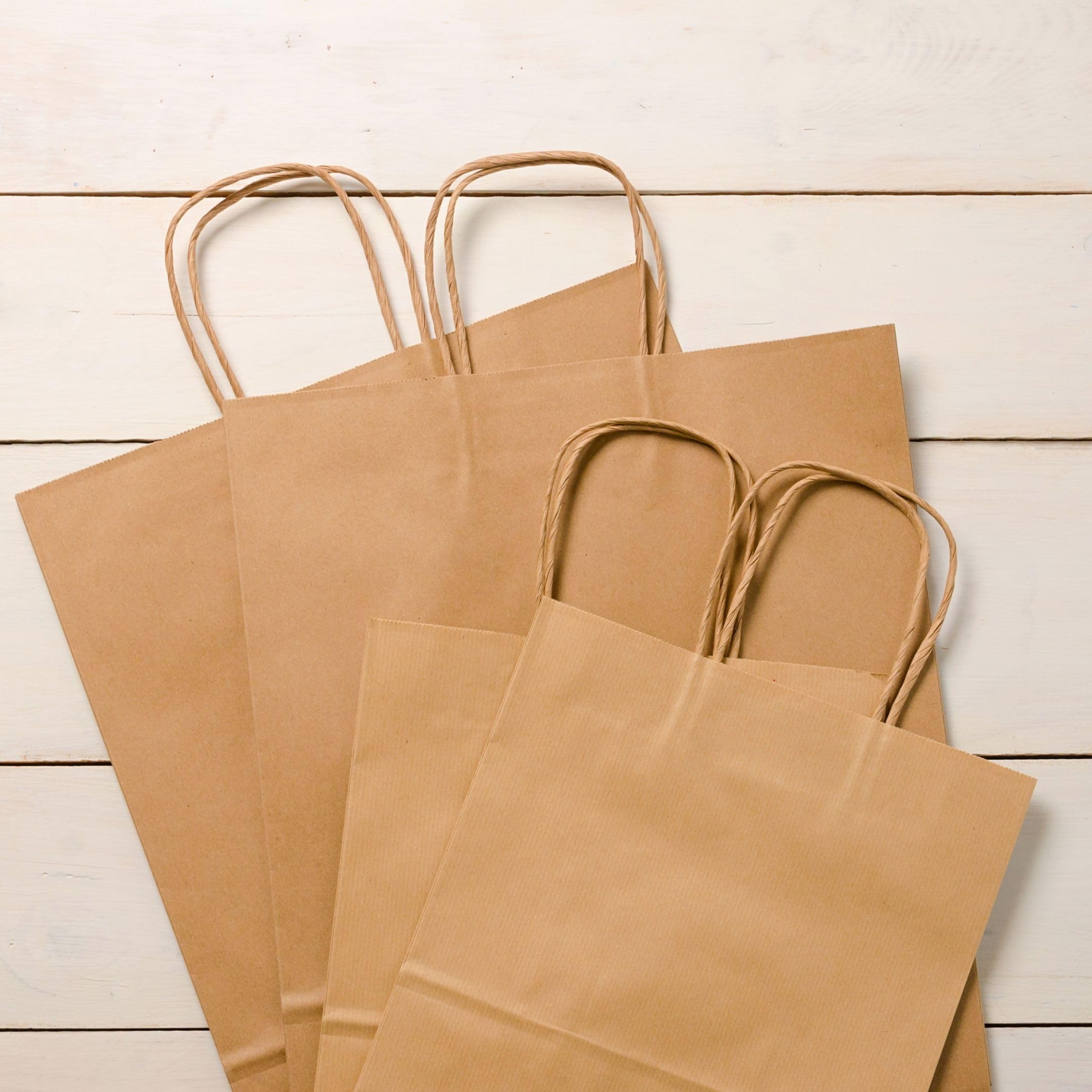 Raylu Paper® - Opakowanie 25 worków papierowych Kraft z wytrzymałymi uchwytami, 100% torby papierowe nadające się do recyklingu na zakup, puszki lub prezent urodzinowy