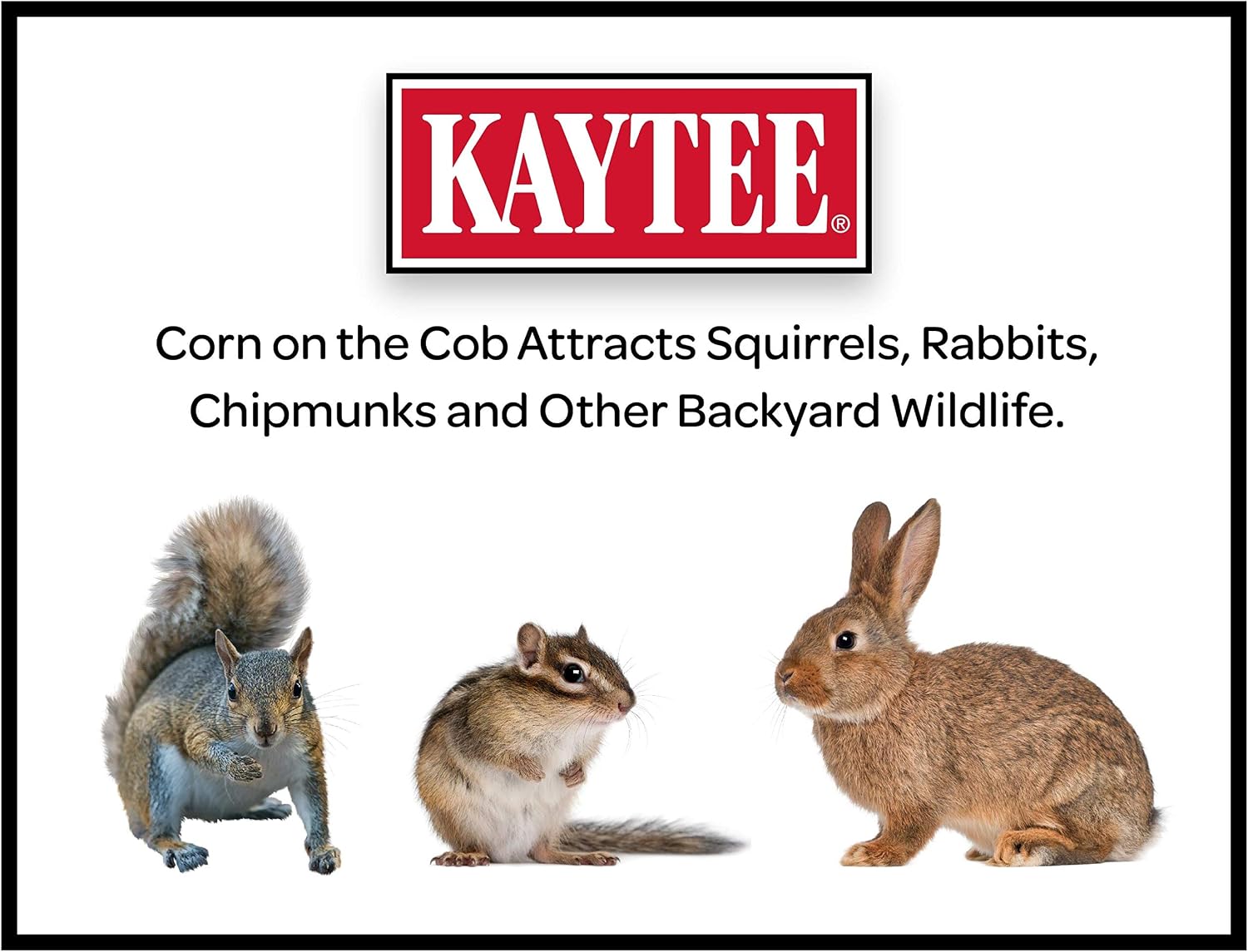 Kaytee Corn On The Cob Food For Wild Squirrels, Rabbits, Chipmunks and Other Backyard Wildlife, 6.5 Pound
