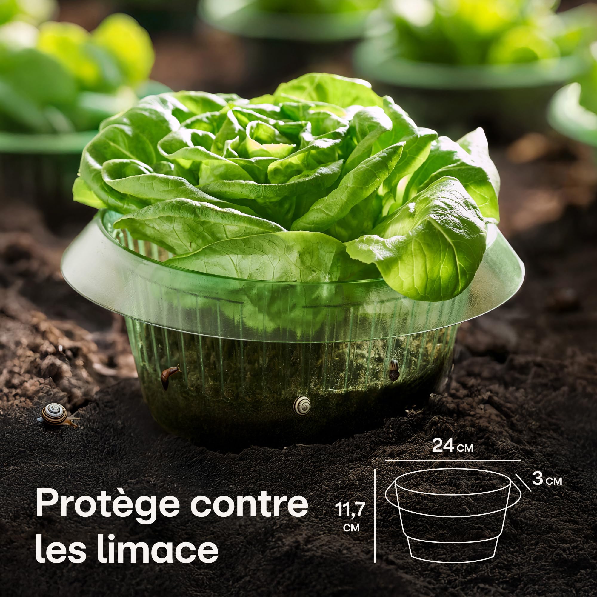 Praknu Collet Anti Limaces 10 pièces Barrière Réutilisable Résistant Aux Intempéries pour Laitues Légumes Fleurs