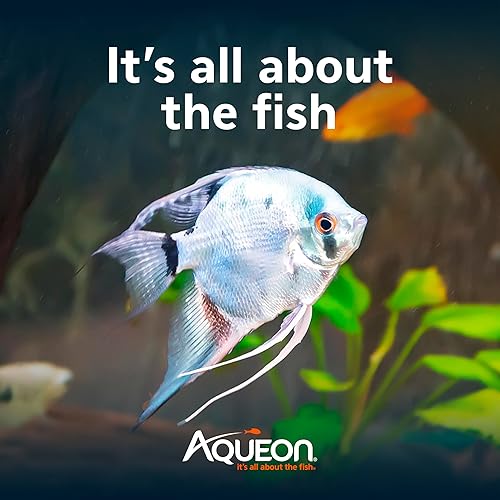 Miniatura 8 de Aqueon Cartucho de filtro EcoRenew para acuario, tamaño mediano, paquete de 15