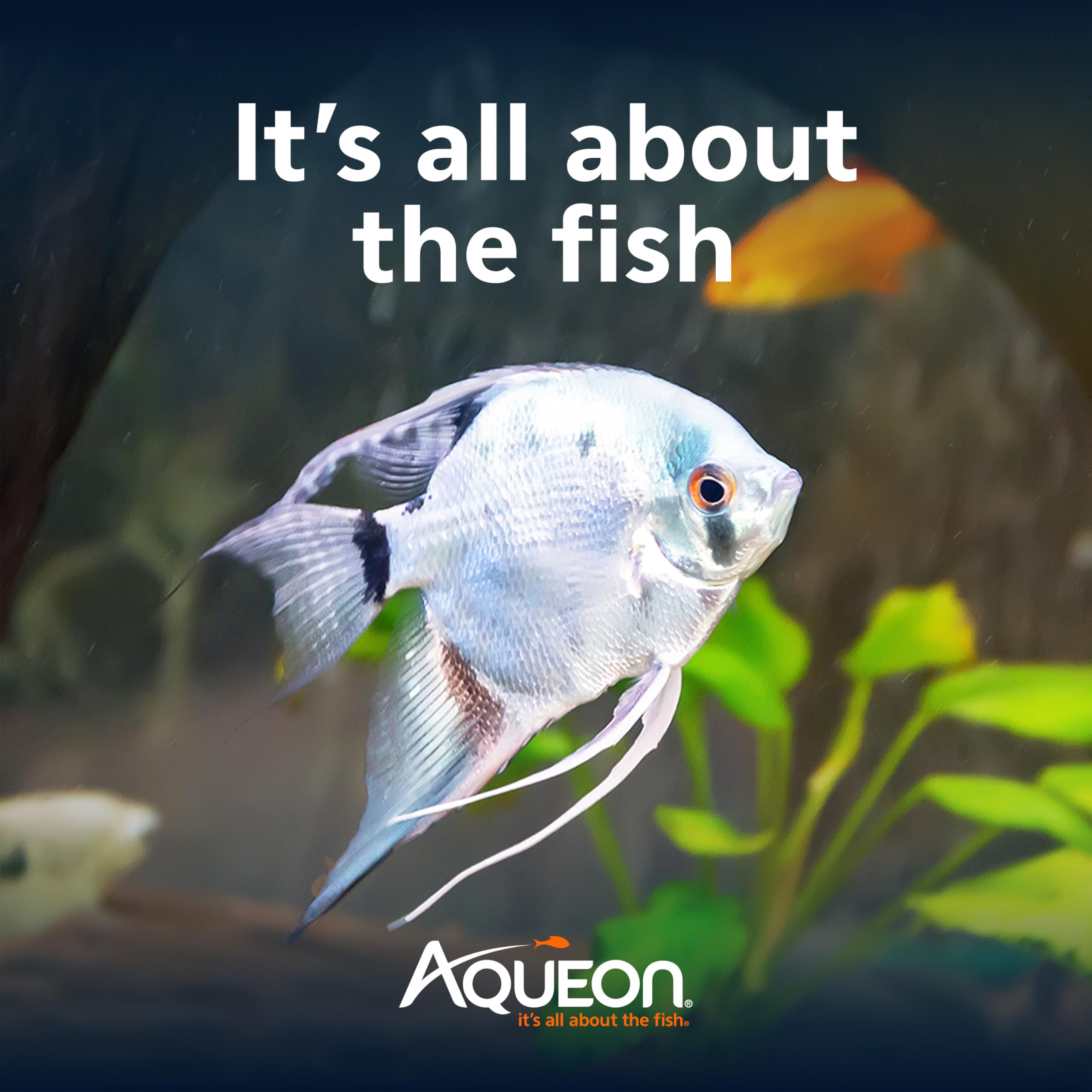 Aqueon EcoRenew - Cartucho de Filtro para Acuario, Grande, Paquete de 9