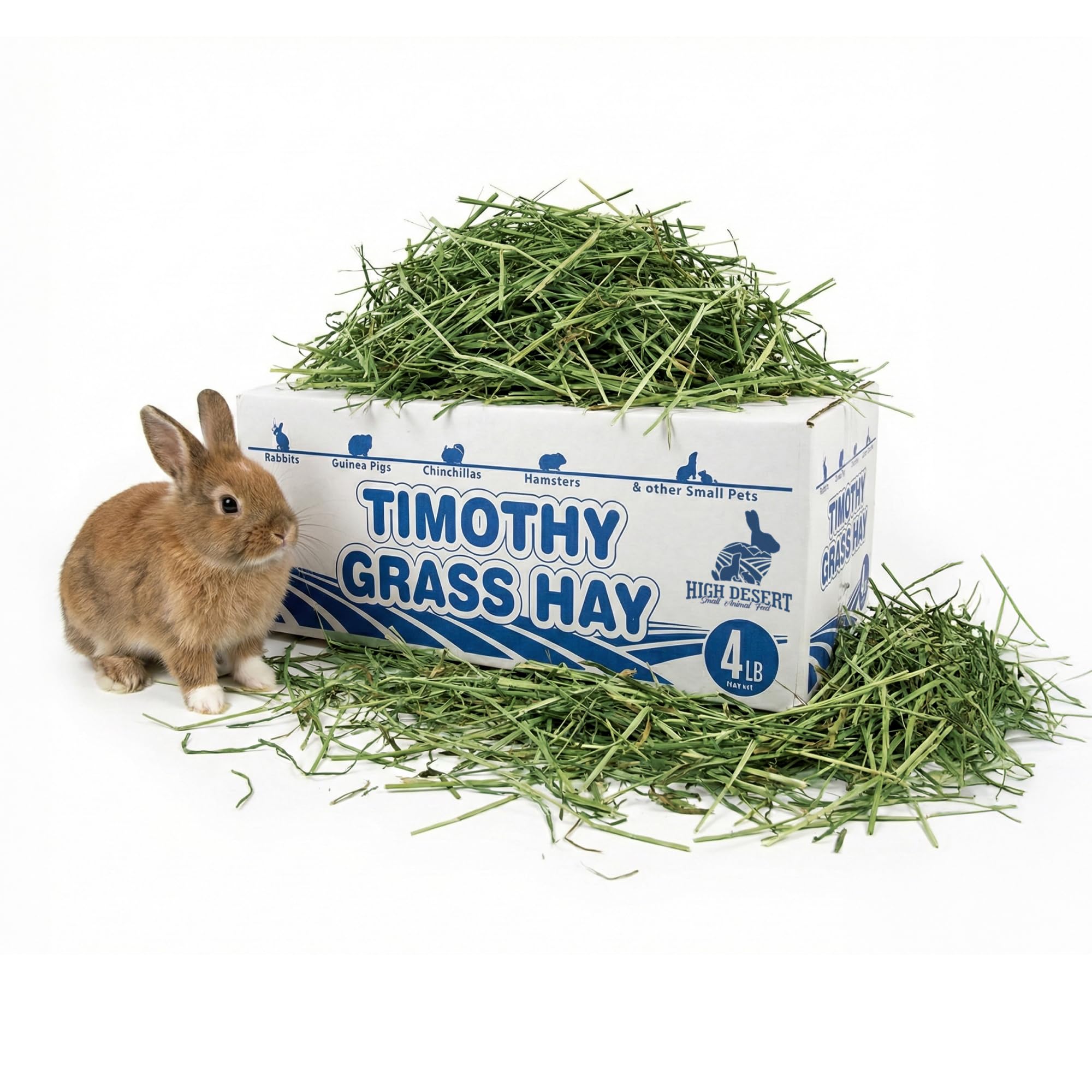 2nd Cutting Timothy Hay for Rabbits, Guinea Pigs, Chinchillas and Small Pets, Soft Leafy for Daily Feeding and Digestive Health, Natural Rabbit Food and Guinea Pig Hay for Hay, 4 Lb Box