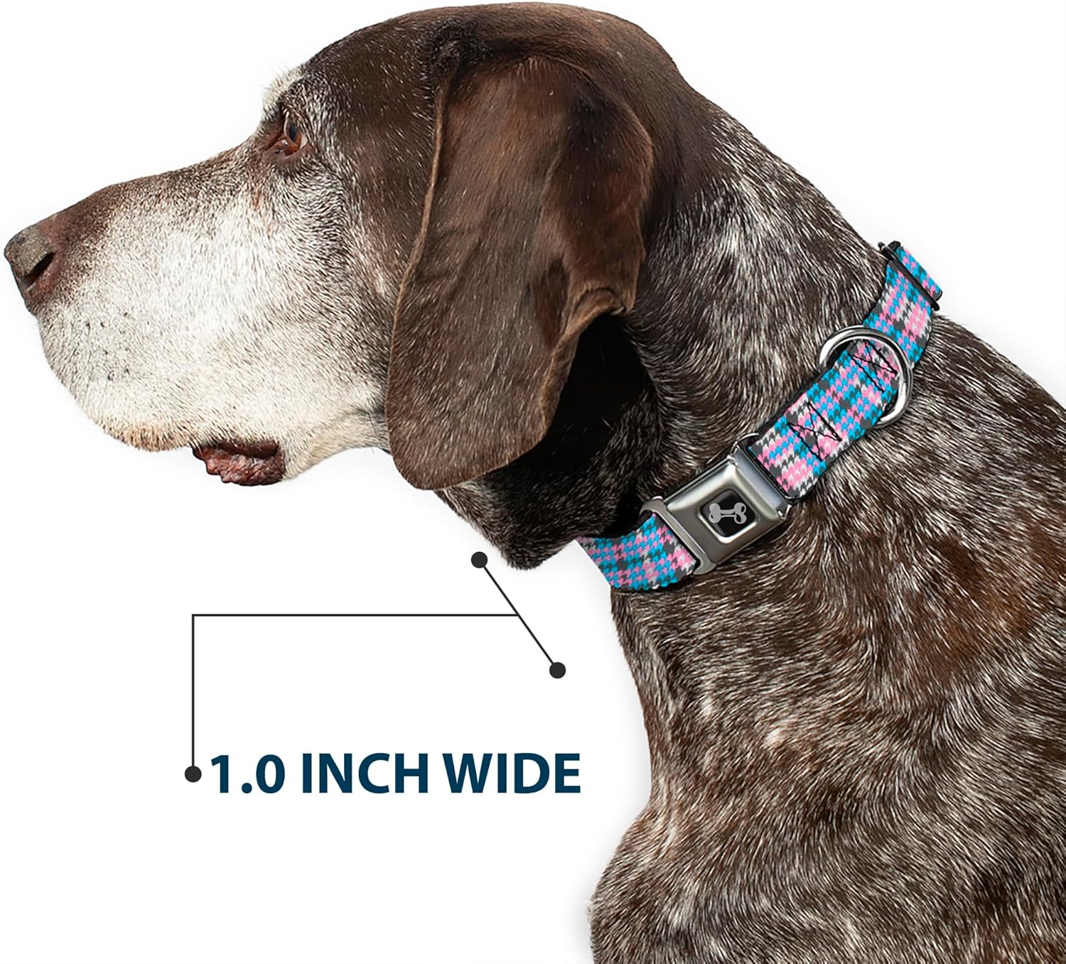 Buckle-Down Seatbelt Buckle Dog Collar - Mini Houndstooth Gray/Baby Blue/Pink - 1" Wide - Fits 11-17" Neck - Medium