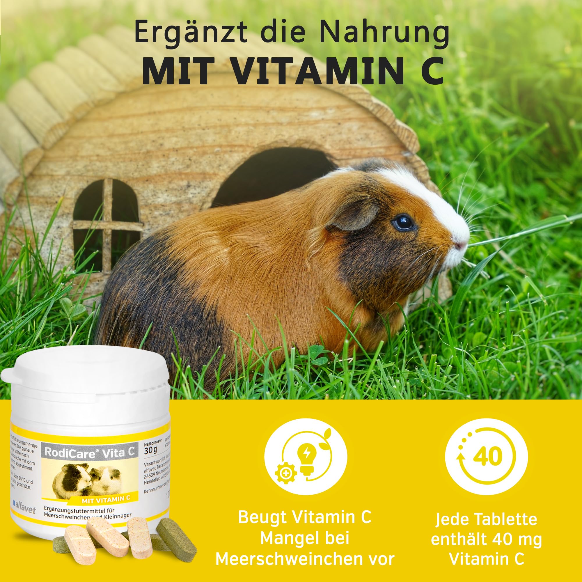 alfavet, RodiCare Vita C - Complemento de Vitamina C para cobayas y roedores pequeños, sin azúcar, 30 g (40 Comprimidos de 750 MG)