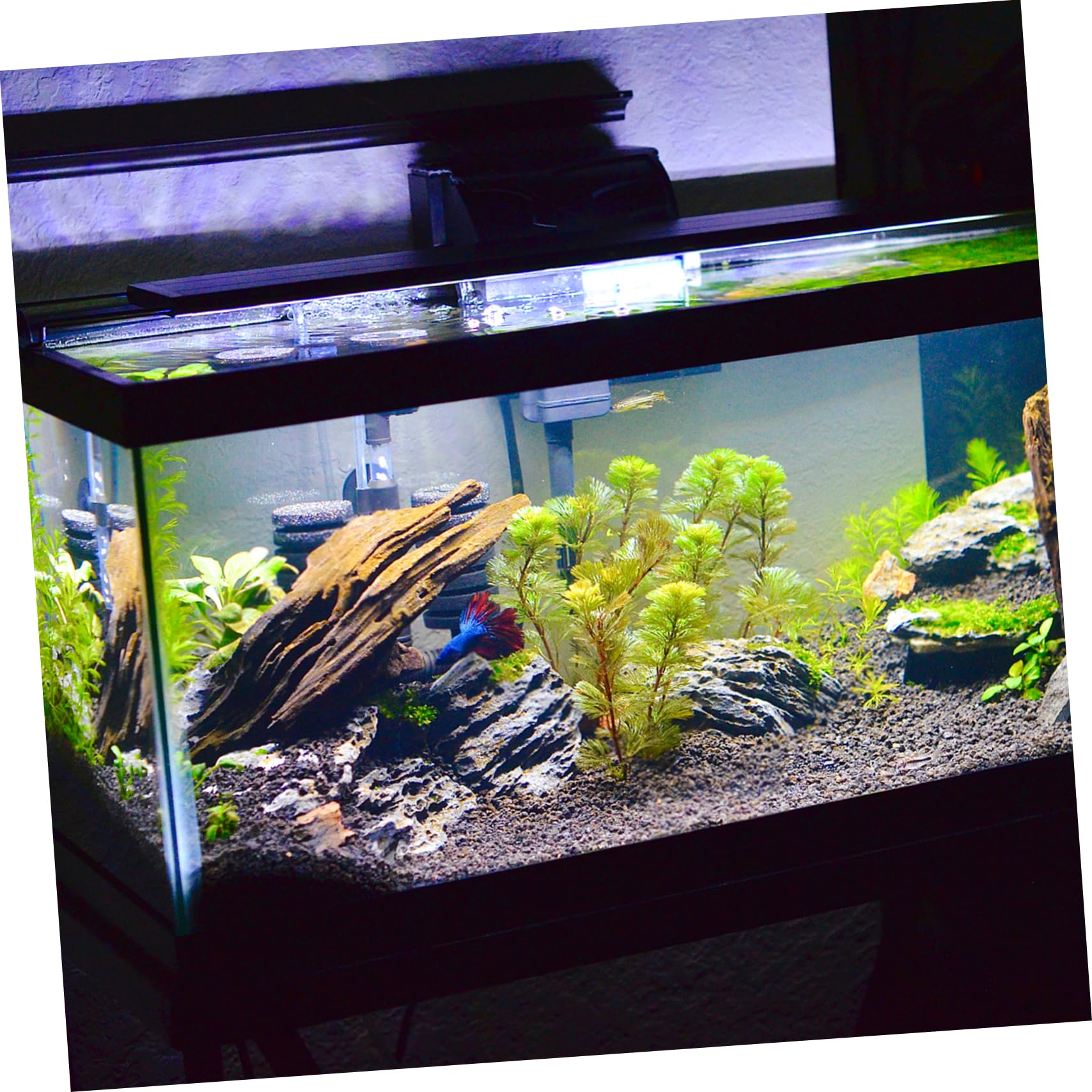 ROMISBABA Aquarium Unterlage 60x35cm - Rutschfeste Bodenmatte