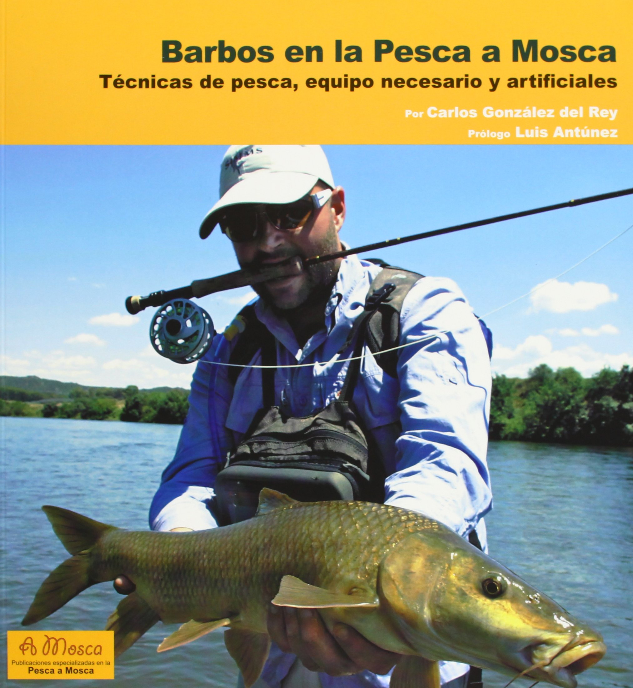 Barbos En La Pesca A Mosca