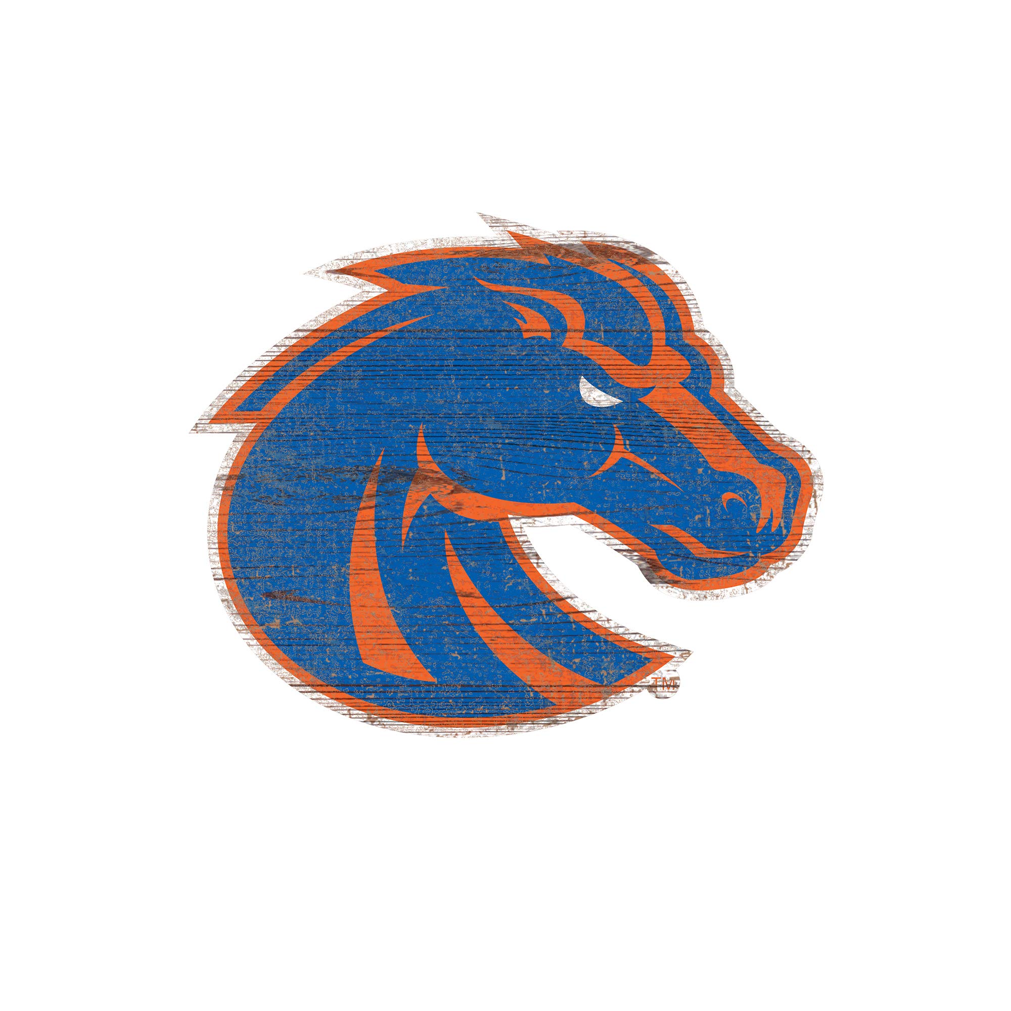 リデル　スピードアイコンL（NCAA Boise State Broncos） BOISE STATE BRONCOS NCAA Riddell Speed Authentic MINI