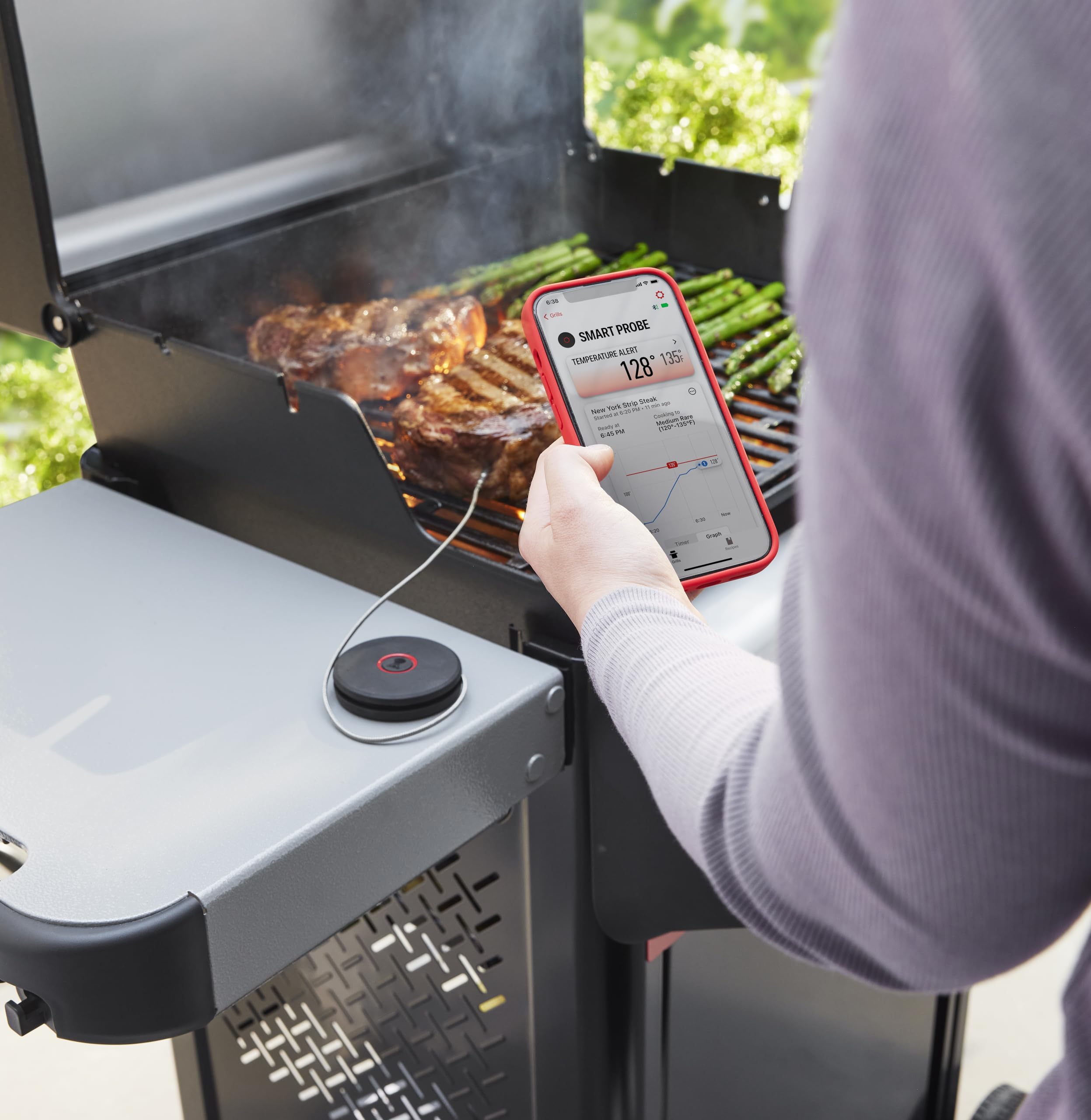 Weber Smart Thermomètre avec sondes de Grille et de Viande/Mesure la température du Gril et à cœur pour Une Cuisson Parfaite – Noir (3400590)