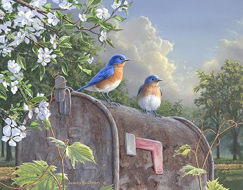 Miniatura 27 de Ledgebay Pintura por números, para adultos, de principiantes a avanzados, divertidos proyectos de arte y manualidades, Rompecabezas de huerta, 16 x