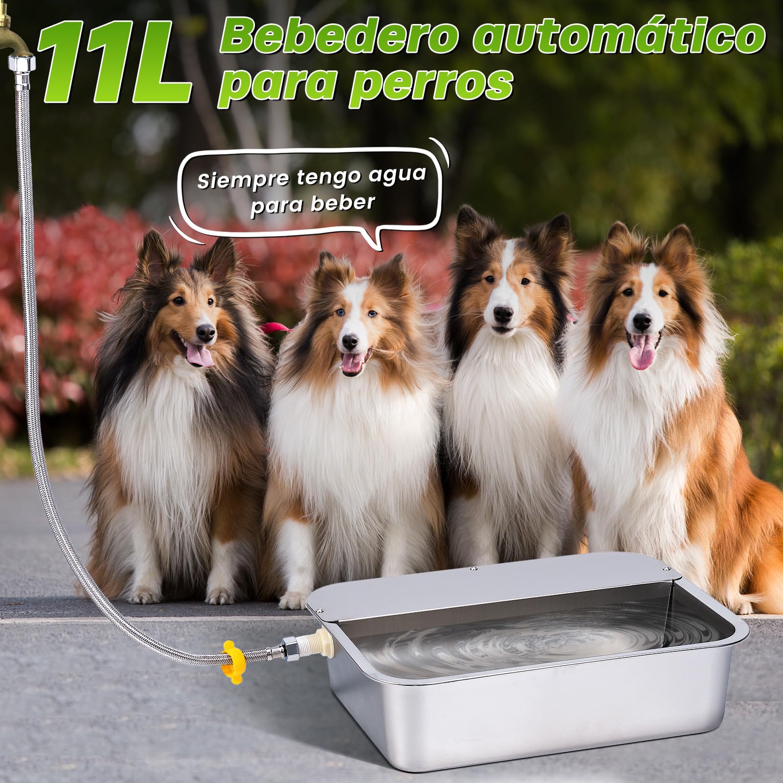 Dispensador Automático de Agua para Perros de 11L con Válvula Flotante, Bebedero para canino al Aire Libre para Dos Chucho, Cuenco de Agua para Perros de Gravedad de Acero Inoxidable (Autocompletar)