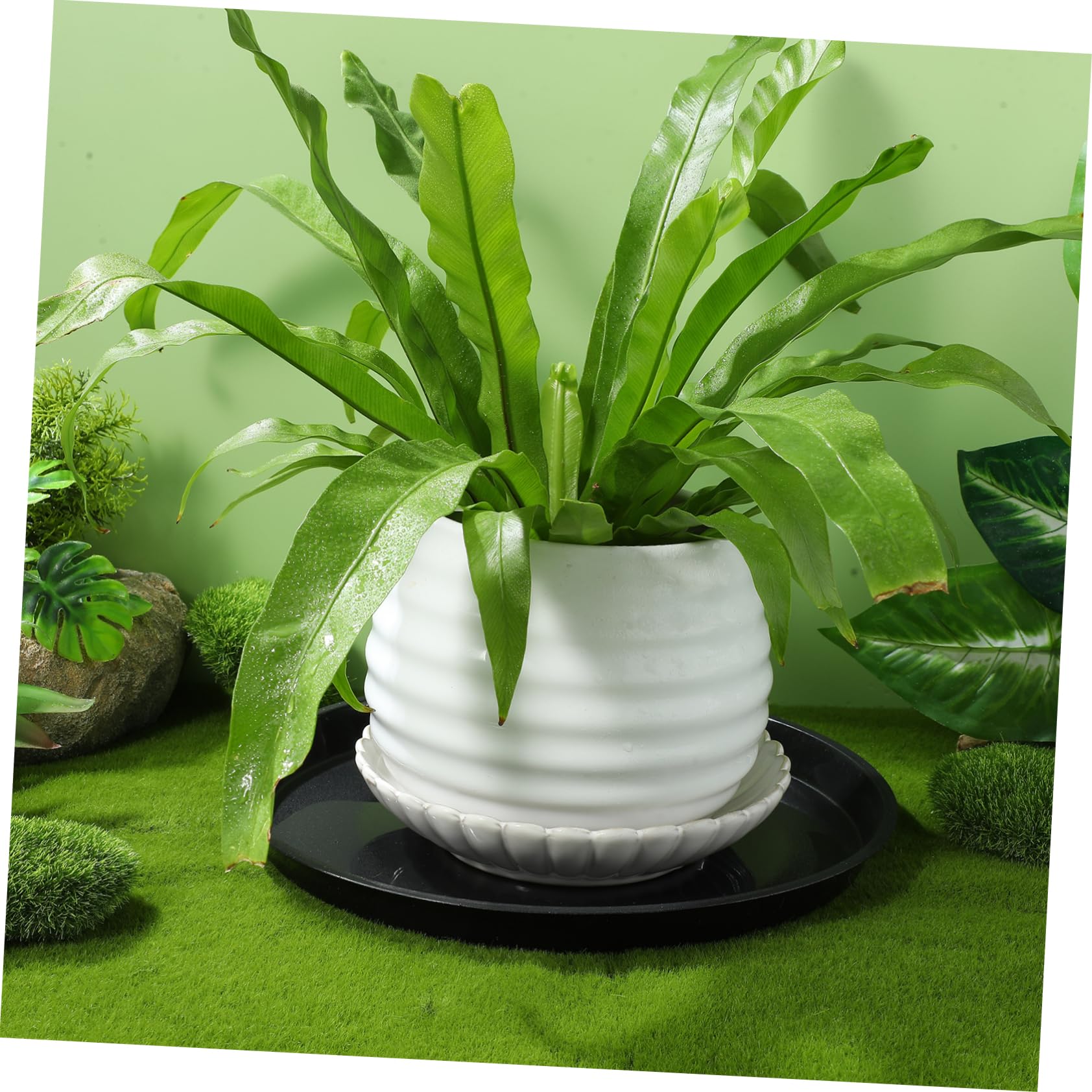 Toddmomy 10piezas Fondo del Recipiente De Plástico Platillos para Plantas Bandejas para Macetas Unidades Bandejas Redondas para Agua para Jardín y Contenedores para Plantas
