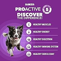 Vista 2 de IAMS Advanced Health Healthy Digestion Alimento seco para perros adultos con pollo real, bolsa de 13.5 libras