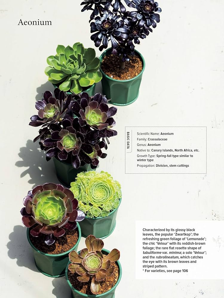 The Essential Book of Succulents: A Guide to the 250 Best