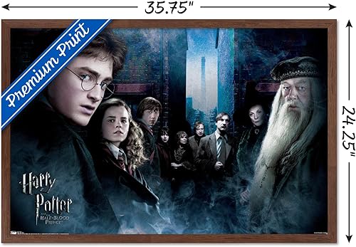 Vista 62 de Trends International Harry Potter y el príncipe mestizo - Póster de pared de la fraternidad, 22.375 x 34 pulgadas, versión premium sin marco