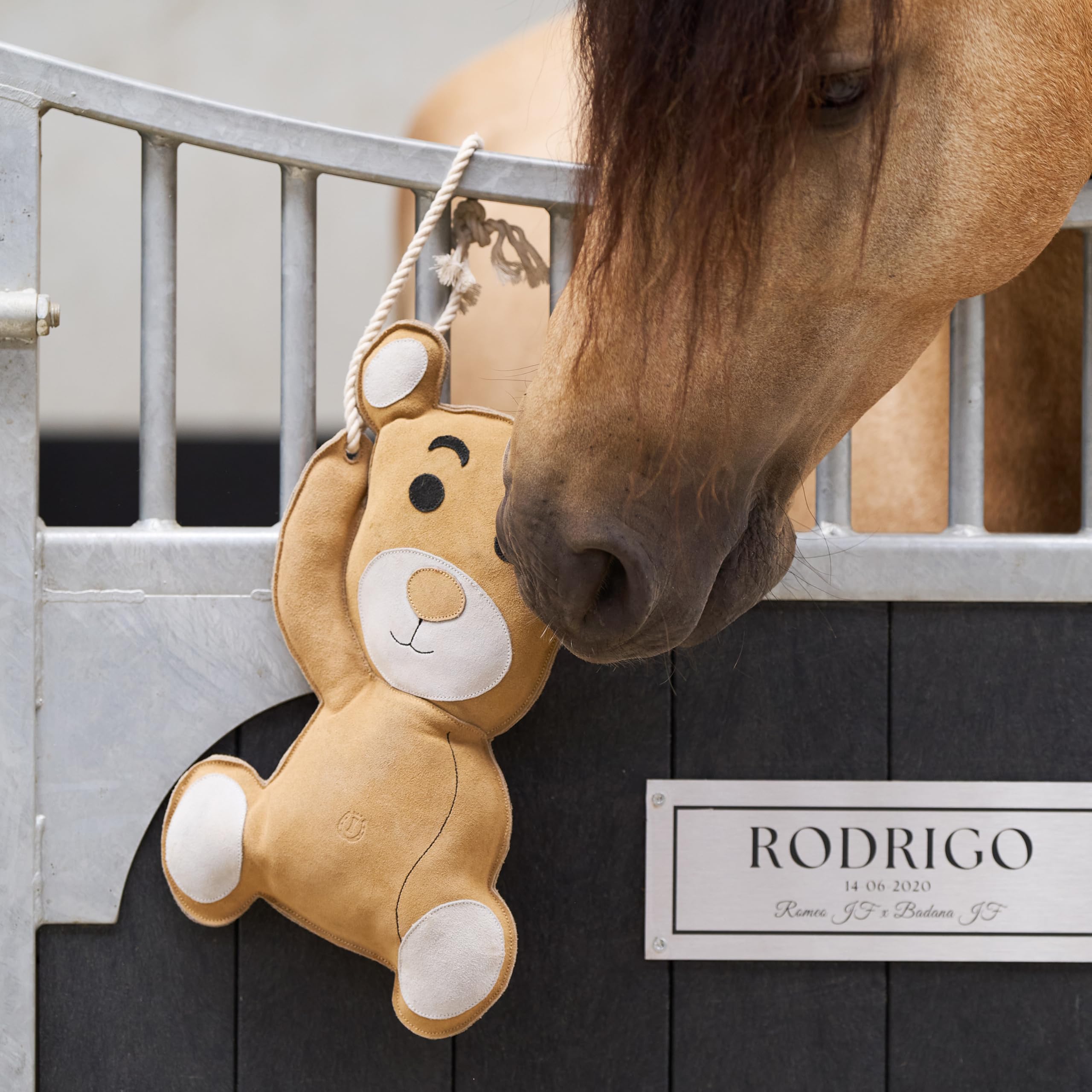 Imperial Riding Stable Buddy - Juego de Juguetes para Caballos y Ponis de Gamuza, Entretenimiento para Boxeo, Paddock o Caballos, Osito