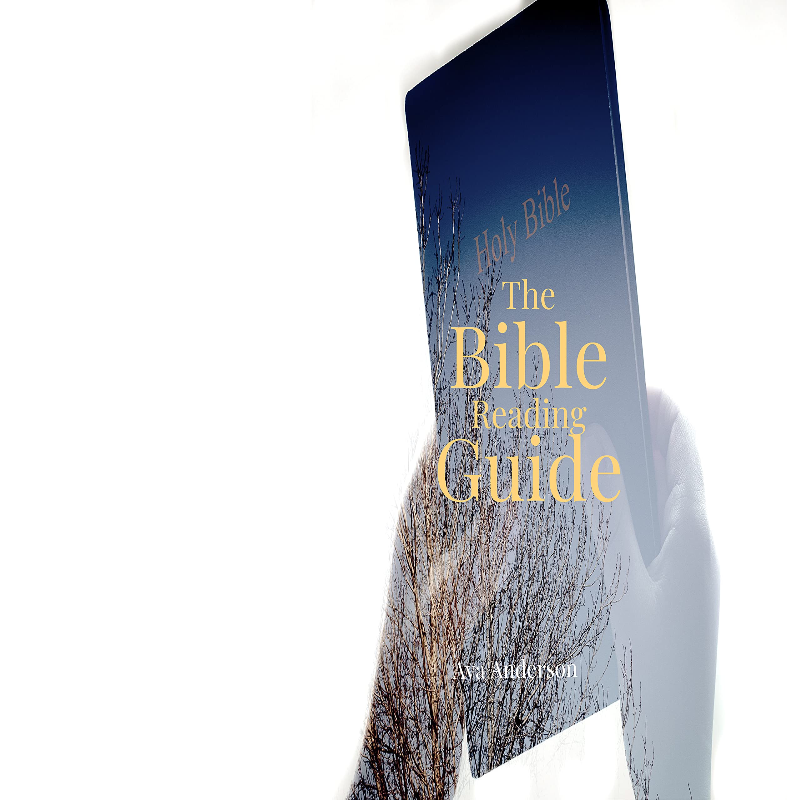 The Bible Reading Guide: A Bible Study Guide on How to Read Through the Bible in a Year.