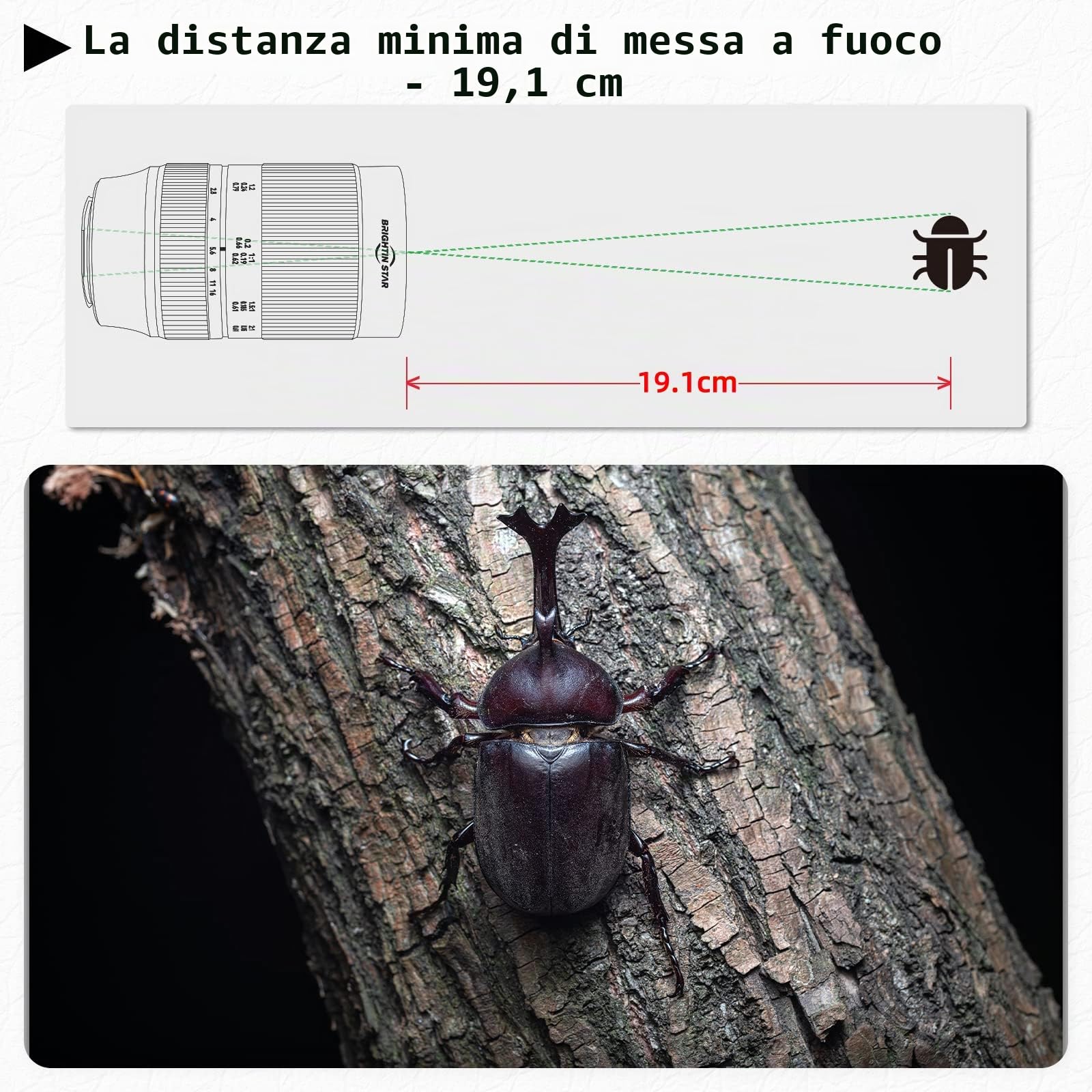 Brightin Star - Lente di messa a fuoco manuale macro 60 mm F2.8 2X per fotocamere Nikon Z-Mount mirrorless APS-C MF obiettivo fisso ad ampia apertura, compatibile con Z-6II, Z-7II, Z5, Z50, Z9, Z50