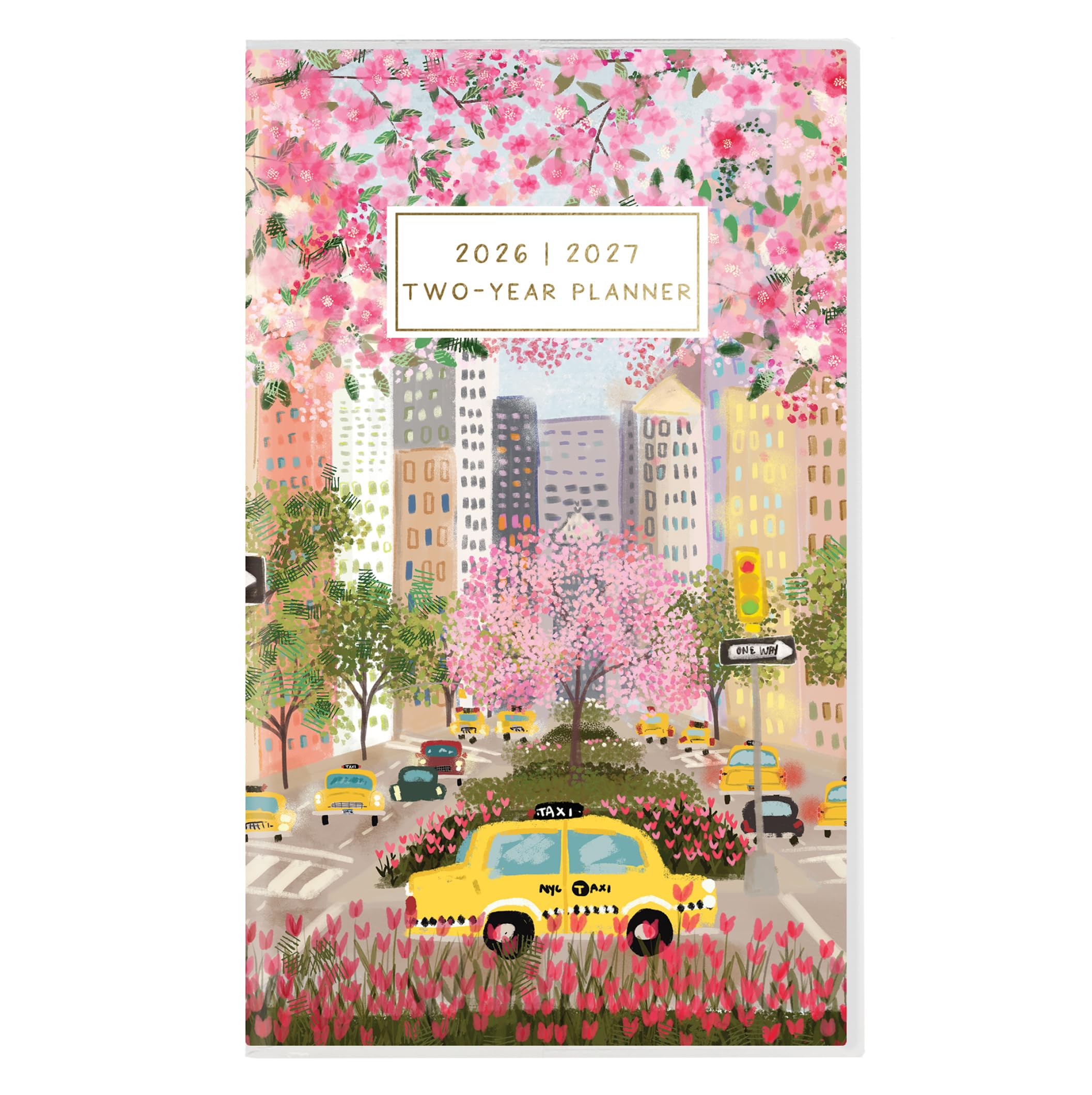 Graphique 2 Year Pocket Planner | 29 Month Organizer, Aug. 2025 – Dec. 2027 Year Planner | Monthly Calendar & Notes Spreads | Marked Holidays | Joyful Landscapes | 9.53 × 15.24 cm