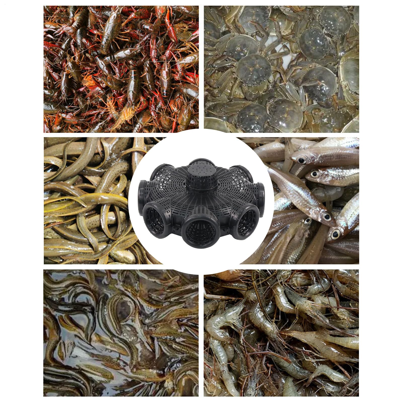 Trampa Cangrejos, 8 Agujeros Trampas Peces De Malla De pesce, Red De pesce | Automática De Nailon, Trampa para Pececillos De Plata, Cebo Jaula para Peces Camarones Pececitos cangrejos cangrejos