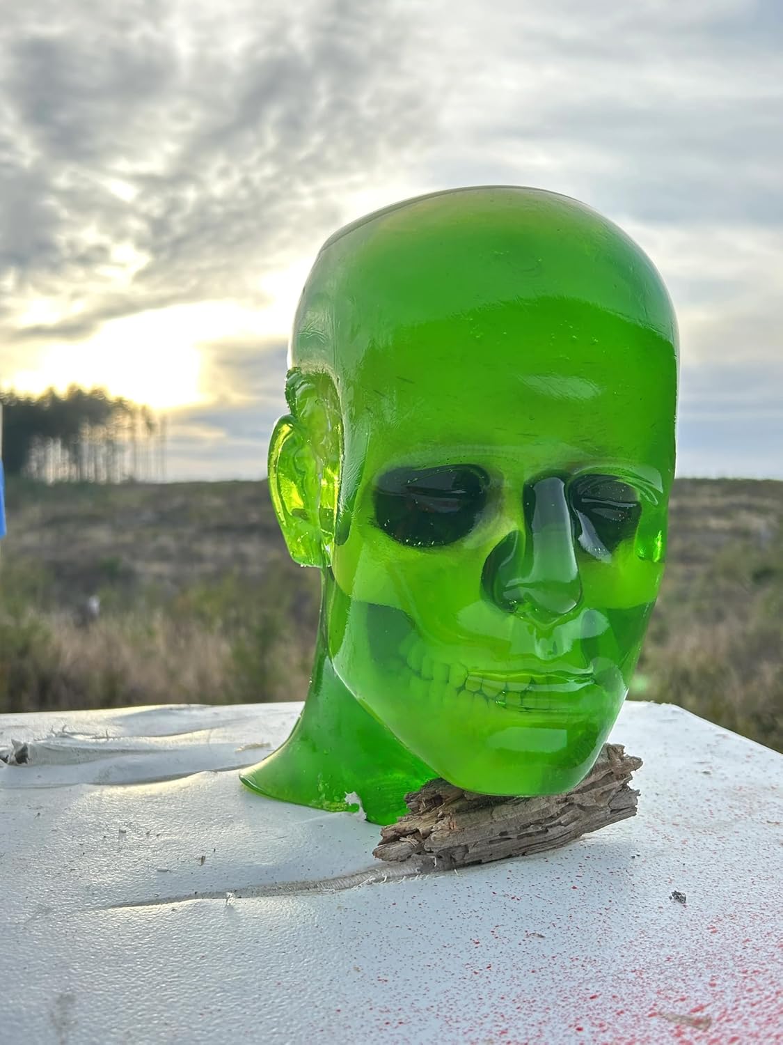 Ballistic Gel Head with Skull & Brain – Hybrid Gel Shooting Target – Life-Size Gel Head for Firearms & Archery Testing – GoBallisticNW