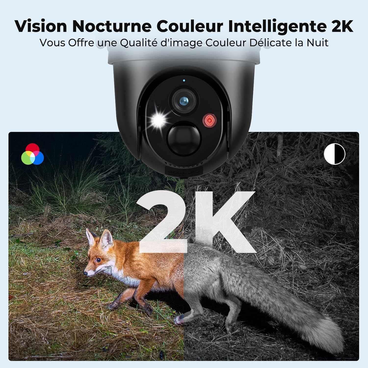 Codnida camera color night vision showing a fox