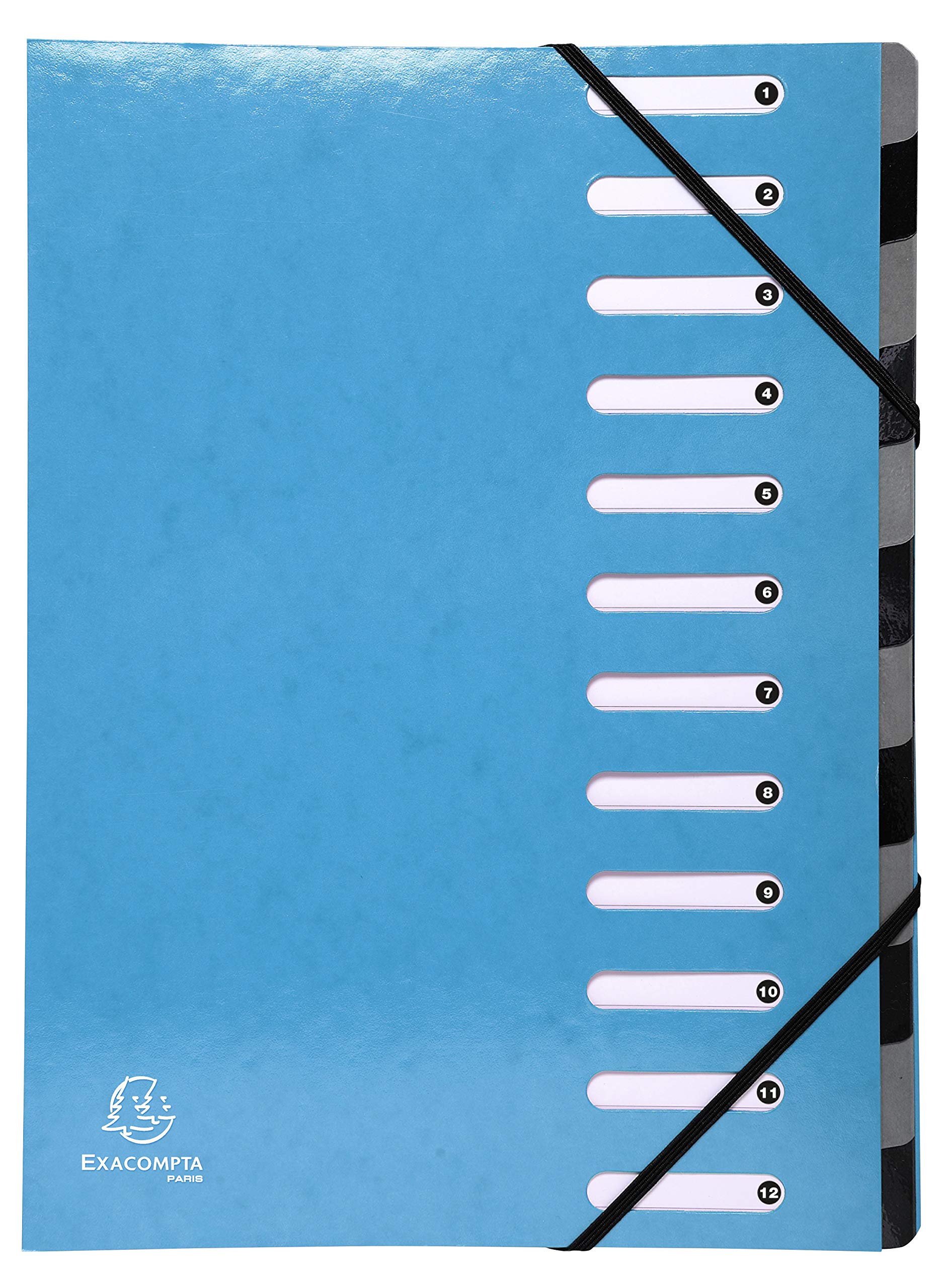 Exacompta - Ref 53927E - Iderama Collection - Harmonika Multipart File - 245 x 320mm in Size, Suitable for A4 Documents, 12 Multicoloured Tabbed Sections - Light Blue
