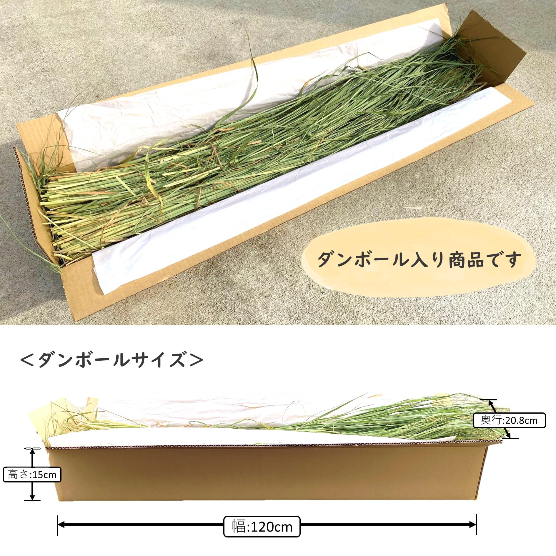 Amazon.co.jp: 令和7年度産 伊勢錦の青わら約2㎏ 新潟産の国産藁