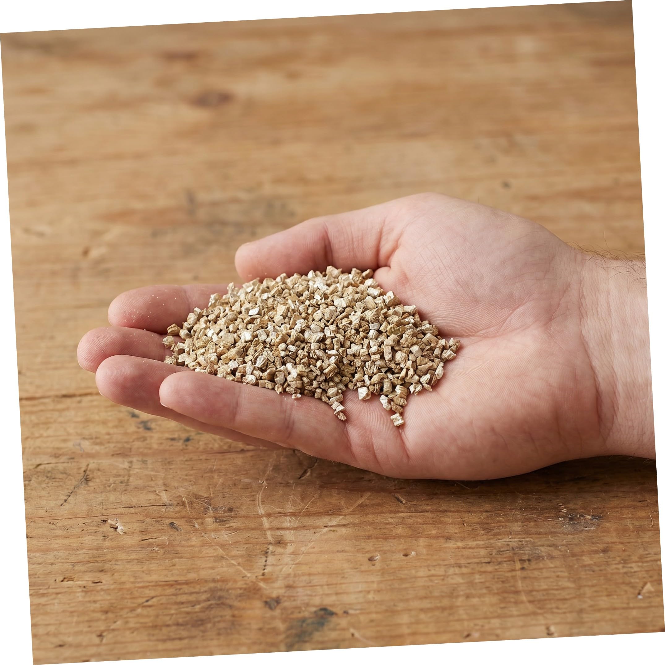 GALPADA Vermiculite Granulare 52, 8 Oz per Giardinaggio e Semina | 1 Sacchetto, Ammendante per Substrato e Aerazione del Suolo, Supporto per Germinazione e Funghi