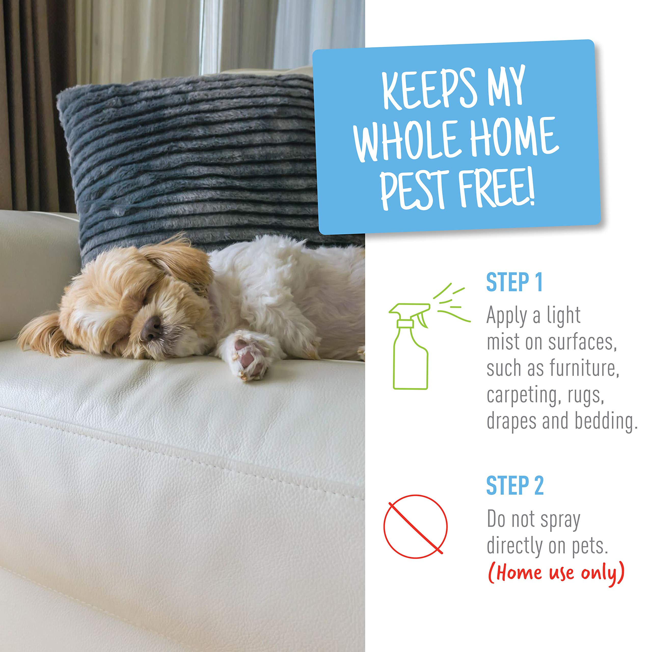 Buy Adams Flea & Tick Home Spray, Kills Fleas, Flea Eggs, Flea Larvae, Bed Bugs, Ticks, Ants