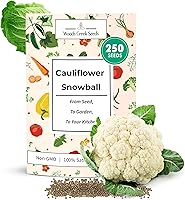 Snowball Heirloom Cauliflower Seeds Non-GMO - White Tight Heads, 60-85 Days, High Germination | WoodsCreekSeeds
