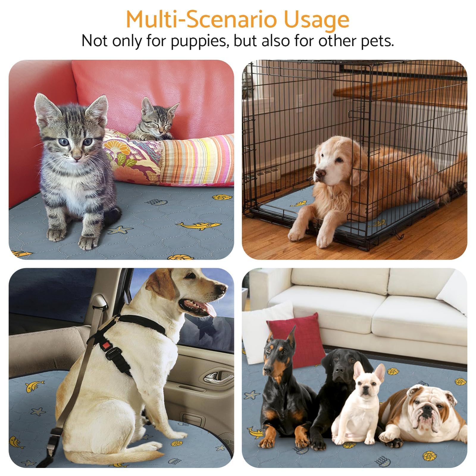 Los Perros Como Evitar Que Mi Perro Orine En La Cama Como Hacer