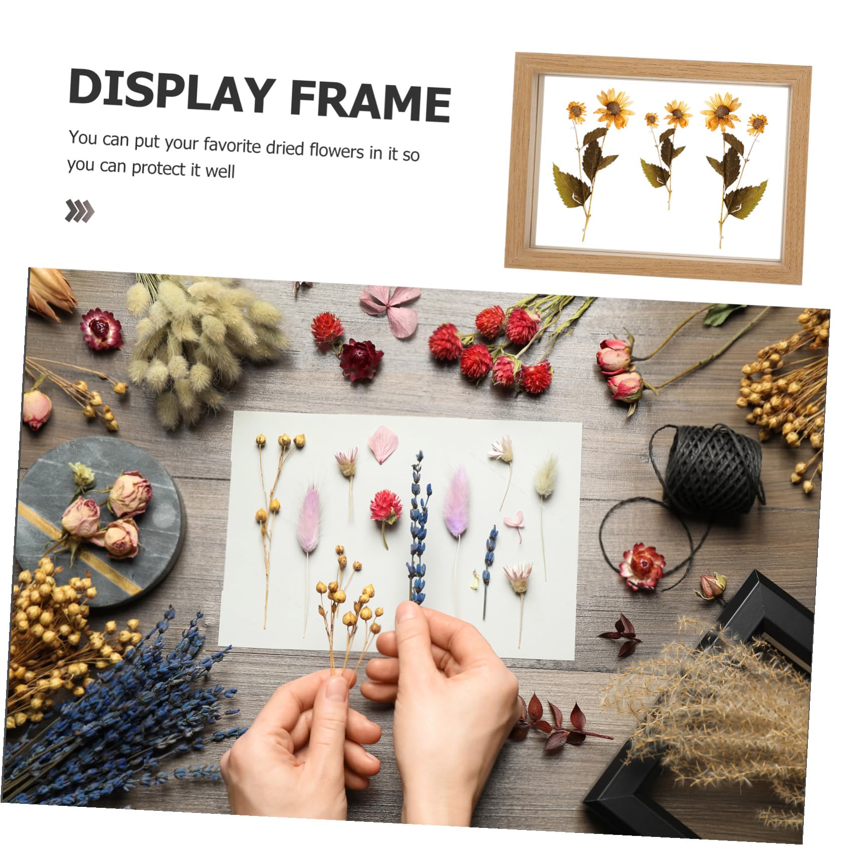 TOYANDONA Cornice Bifacciale in Vetro per Fiori Pressati Cornice in Legno per Esposizione Foto e Piante Finestra Trasparente per Proteggere Fiori Secchi Resistente alla Rottura