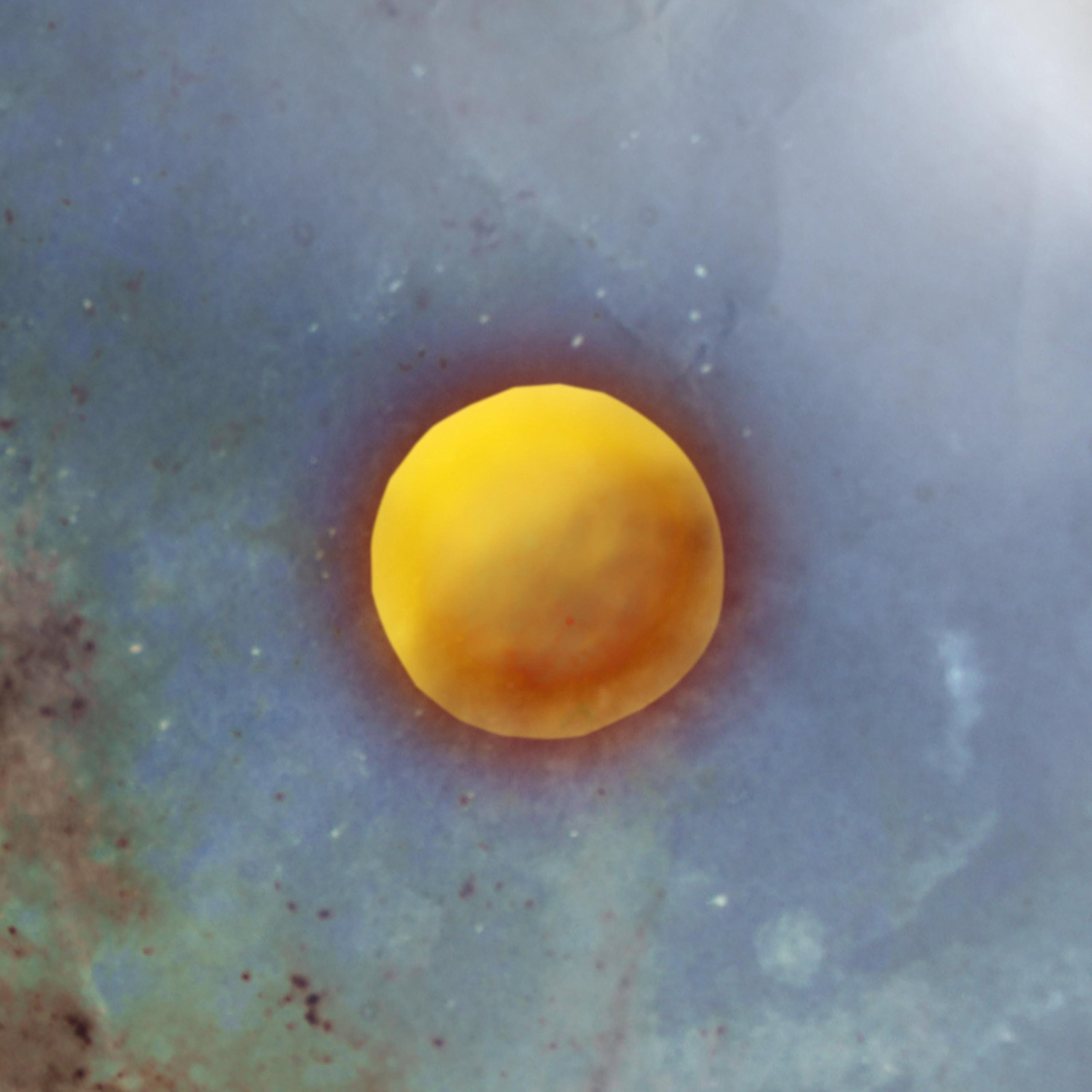 Good Vibes Collective