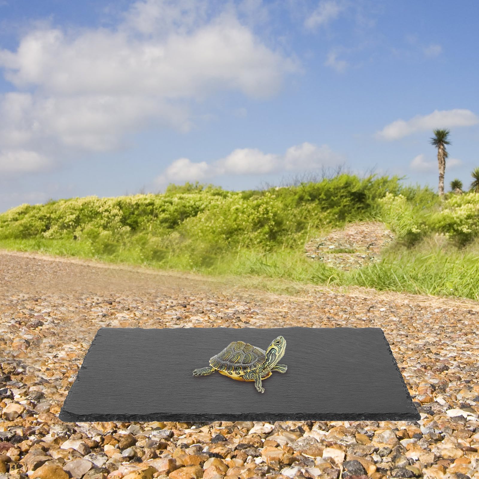 BESTonZON Sonnenplattform Schildkröte aus Naturstein 20x30cm Aquarium Reptilien Terrarium Zubehör