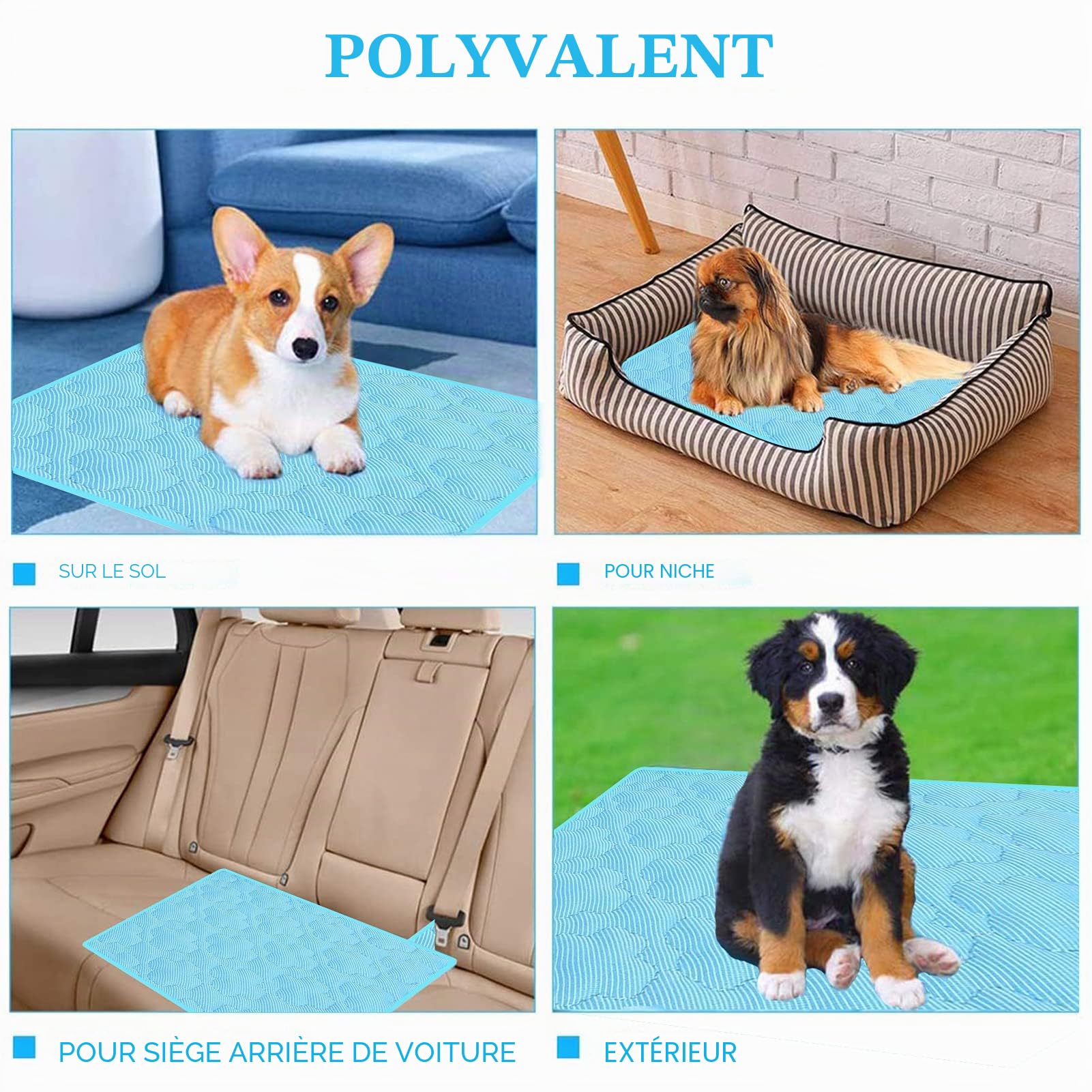 Tapis rafraîchissant pour Chien, 100 x 70 cm - Auto-rafraîchissant - Tapis rafraîchissant pour Chiens et Chats - Auto-rafraîchissant - Tapis de Refroidissement pour Animaux de Compagnie (XL)