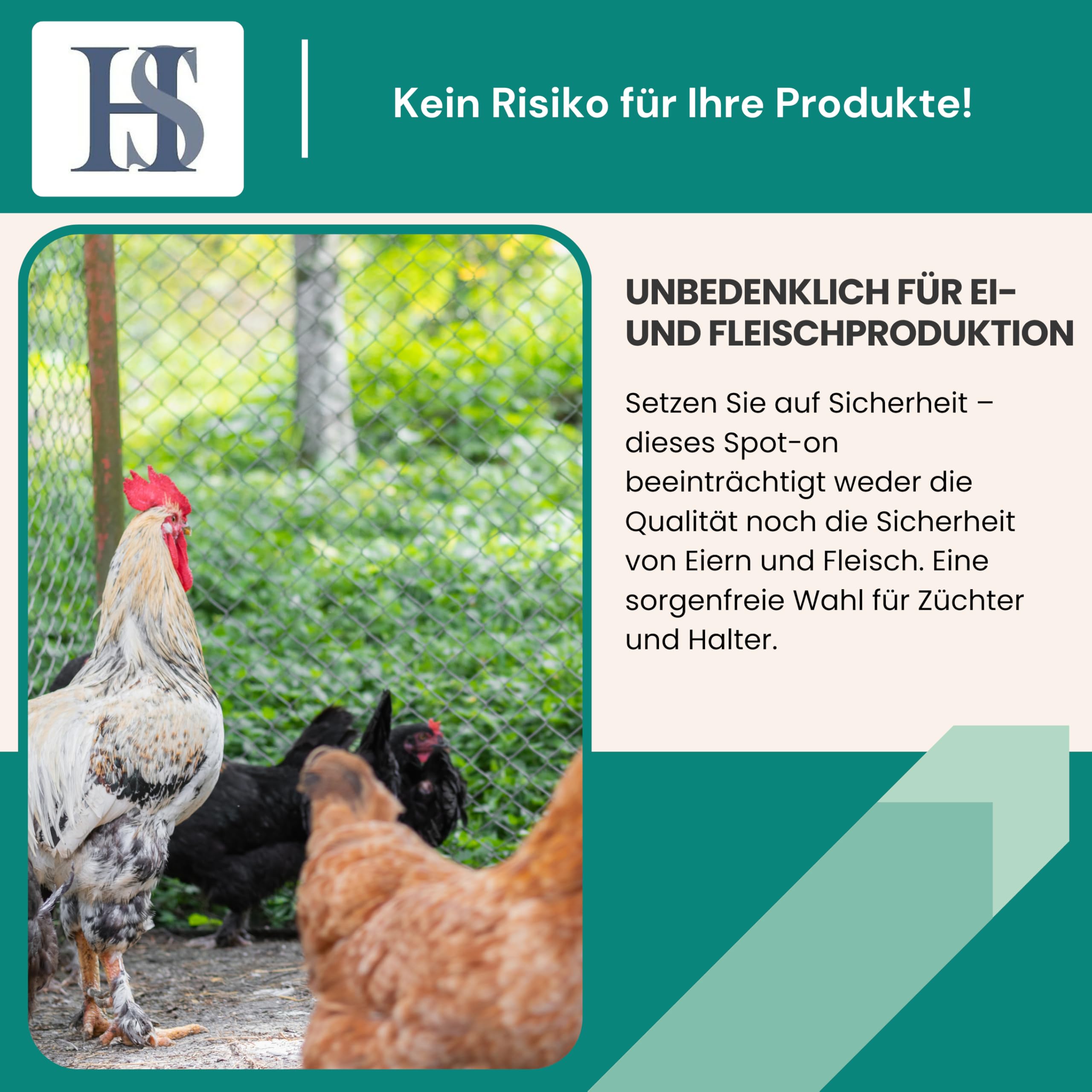HS Spot on Bird – Pflegemittel für Vögel und Geflügel zur Vorbeugung gegen rote Vogelmilben, nordische Geflügelmilben, Federlinge, Kalkbeine etc. – 100 ml