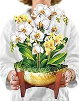 Vista 17 de Freshcut Paper Tarjetas de felicitación desplegables, Oasis de orquídeas, tarjeta de felicitación 3D desplegable de ramo de flores en tamaño natural