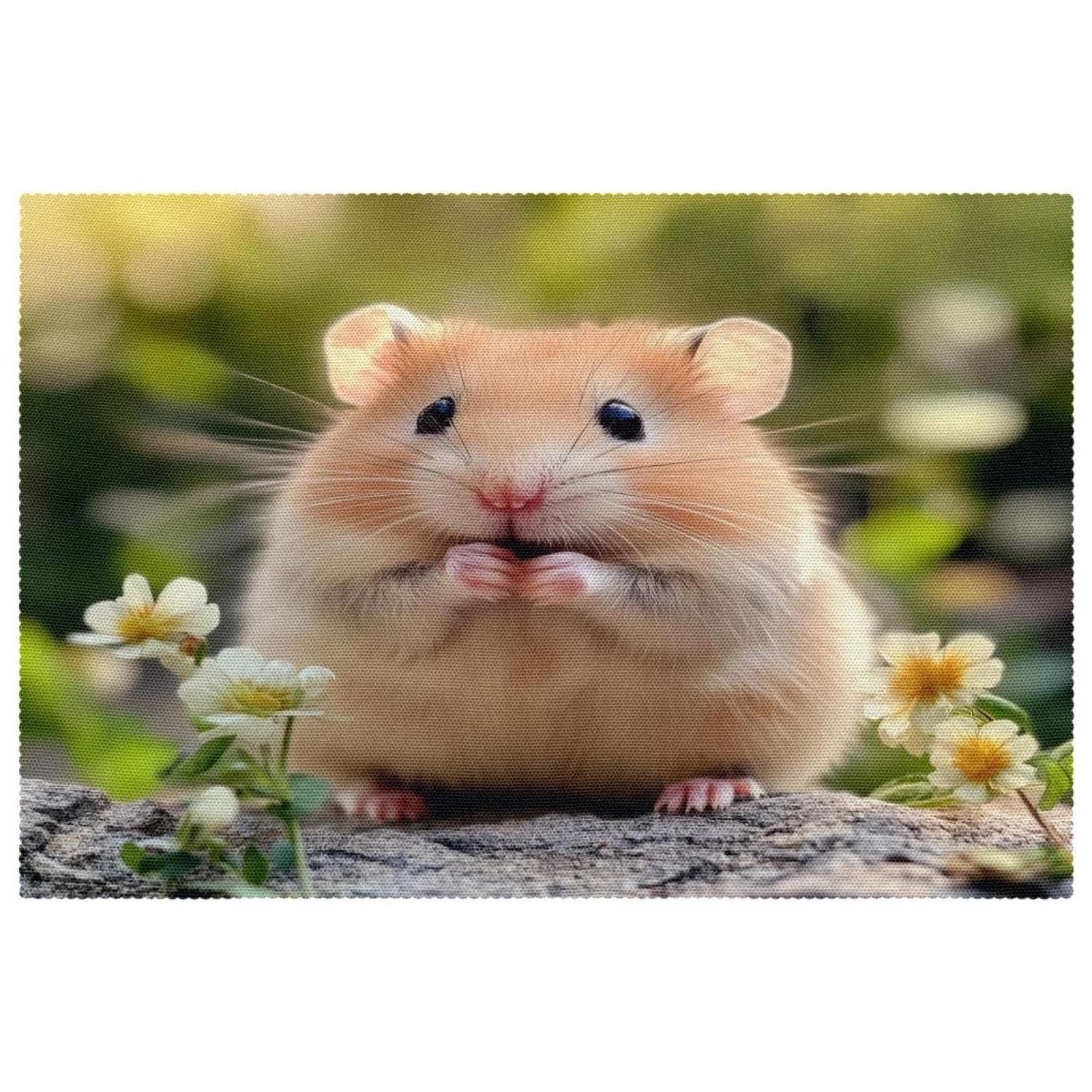 Set de table motif hamster anti rayure et chaleur pour table en bois